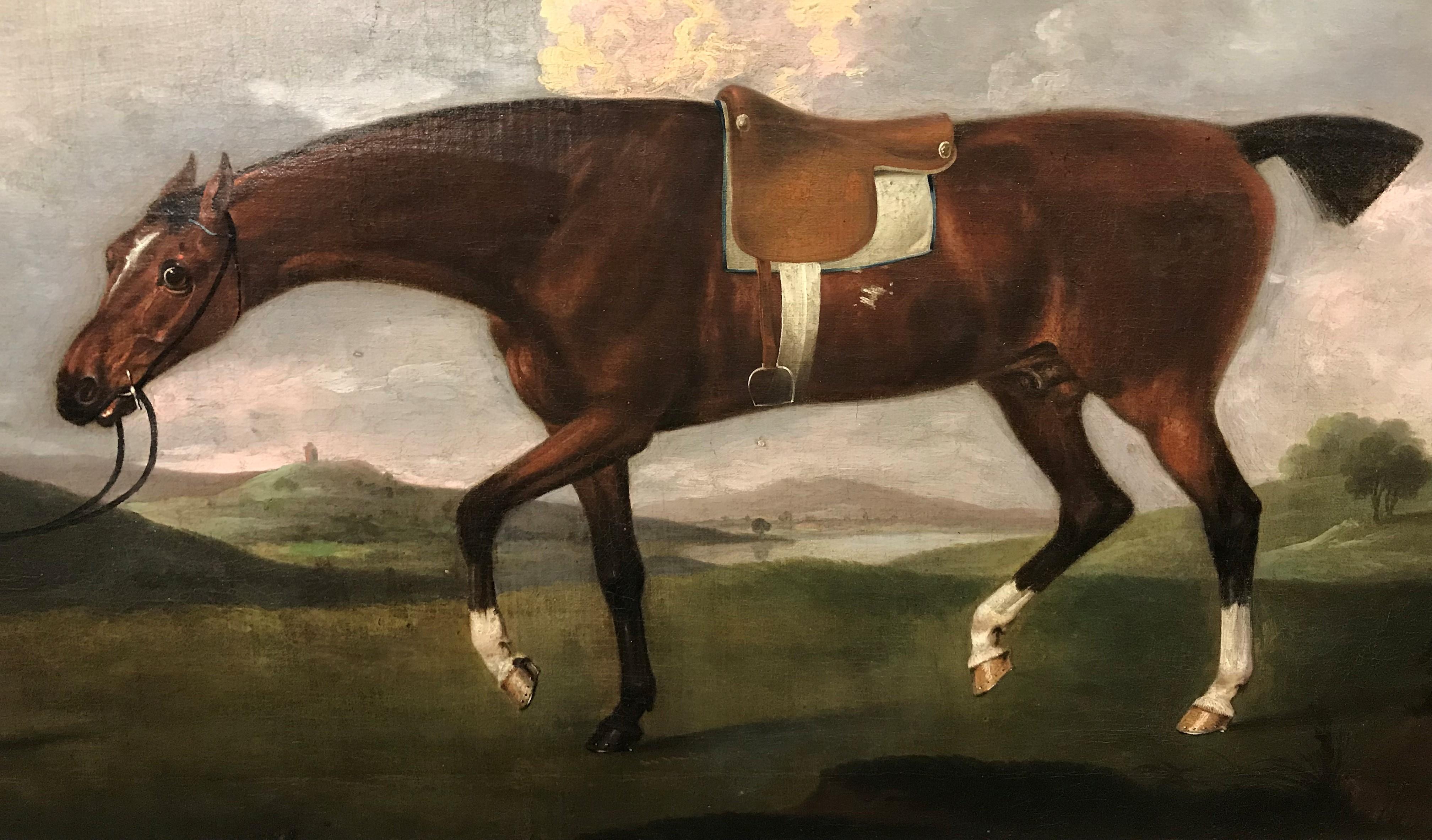 sartorius horse