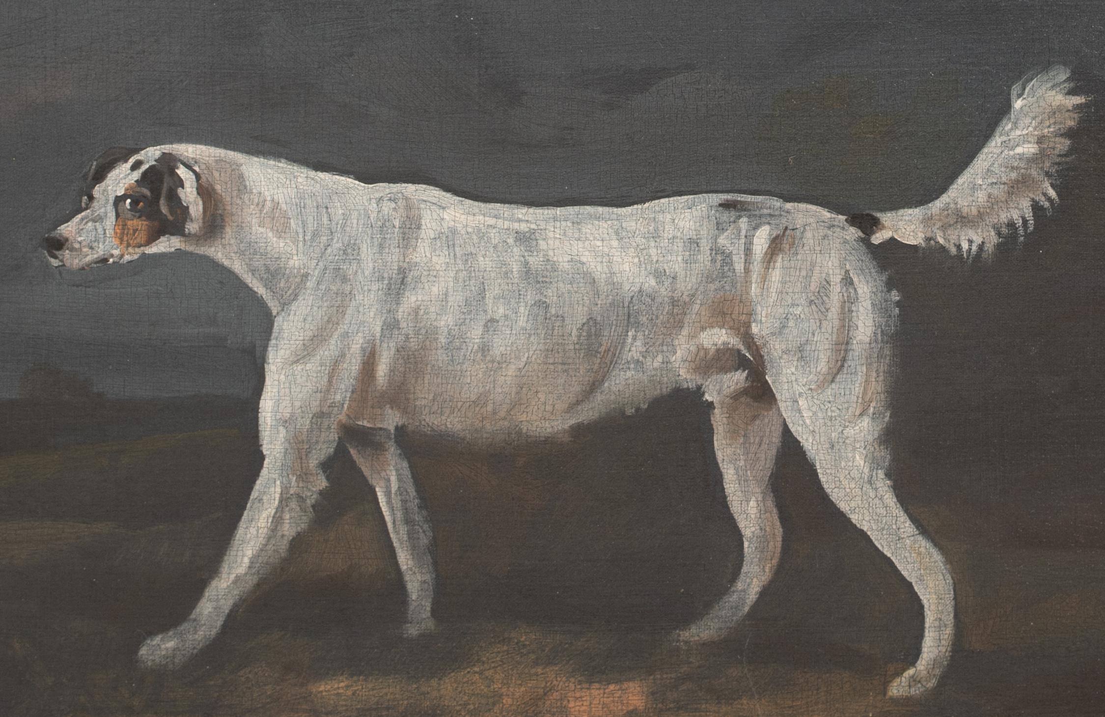 Il Foxhound preferito, 18° secolo  attribuito a Francis Sartorius I 9