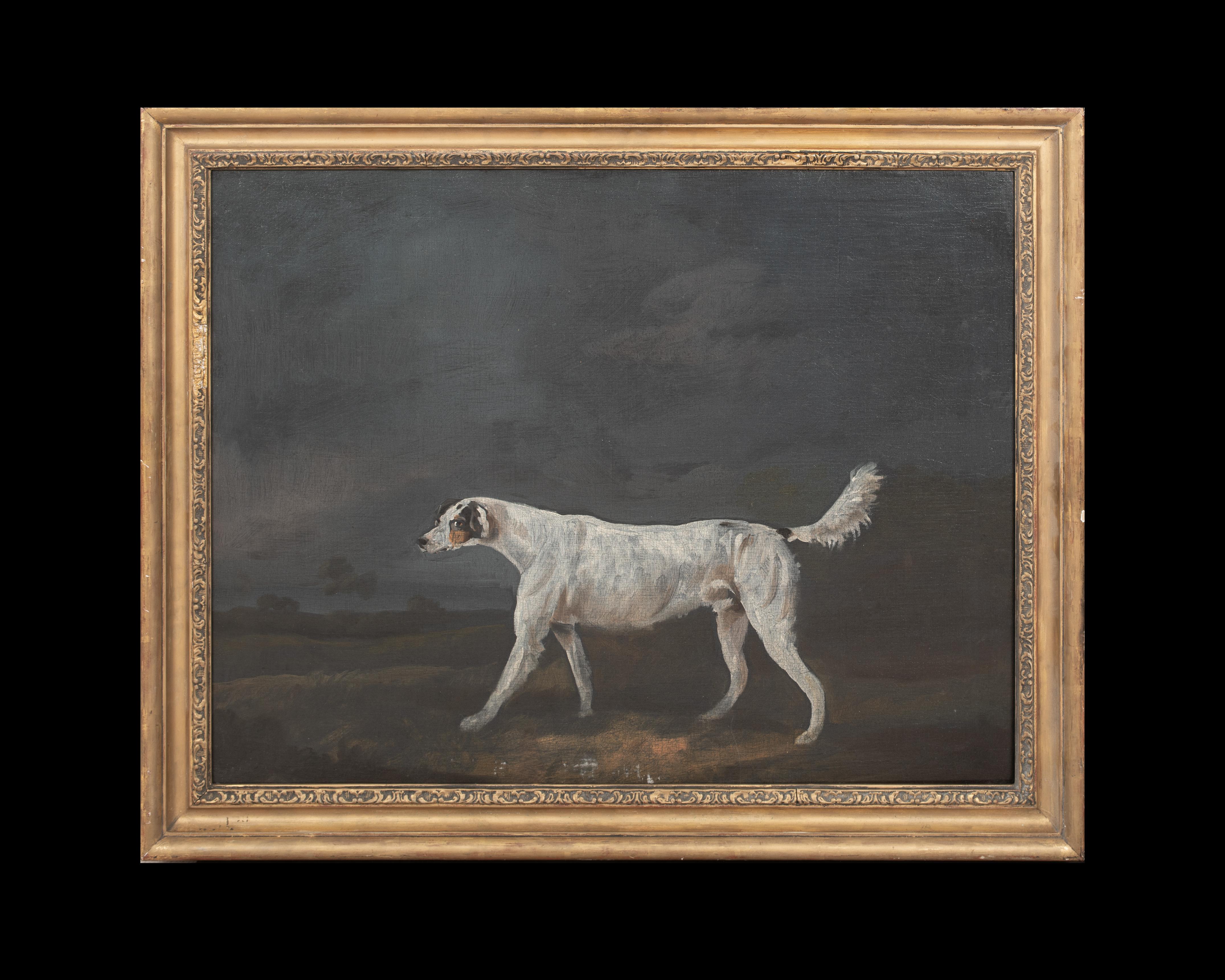 Il Foxhound preferito, 18° secolo  attribuito a Francis Sartorius I 1