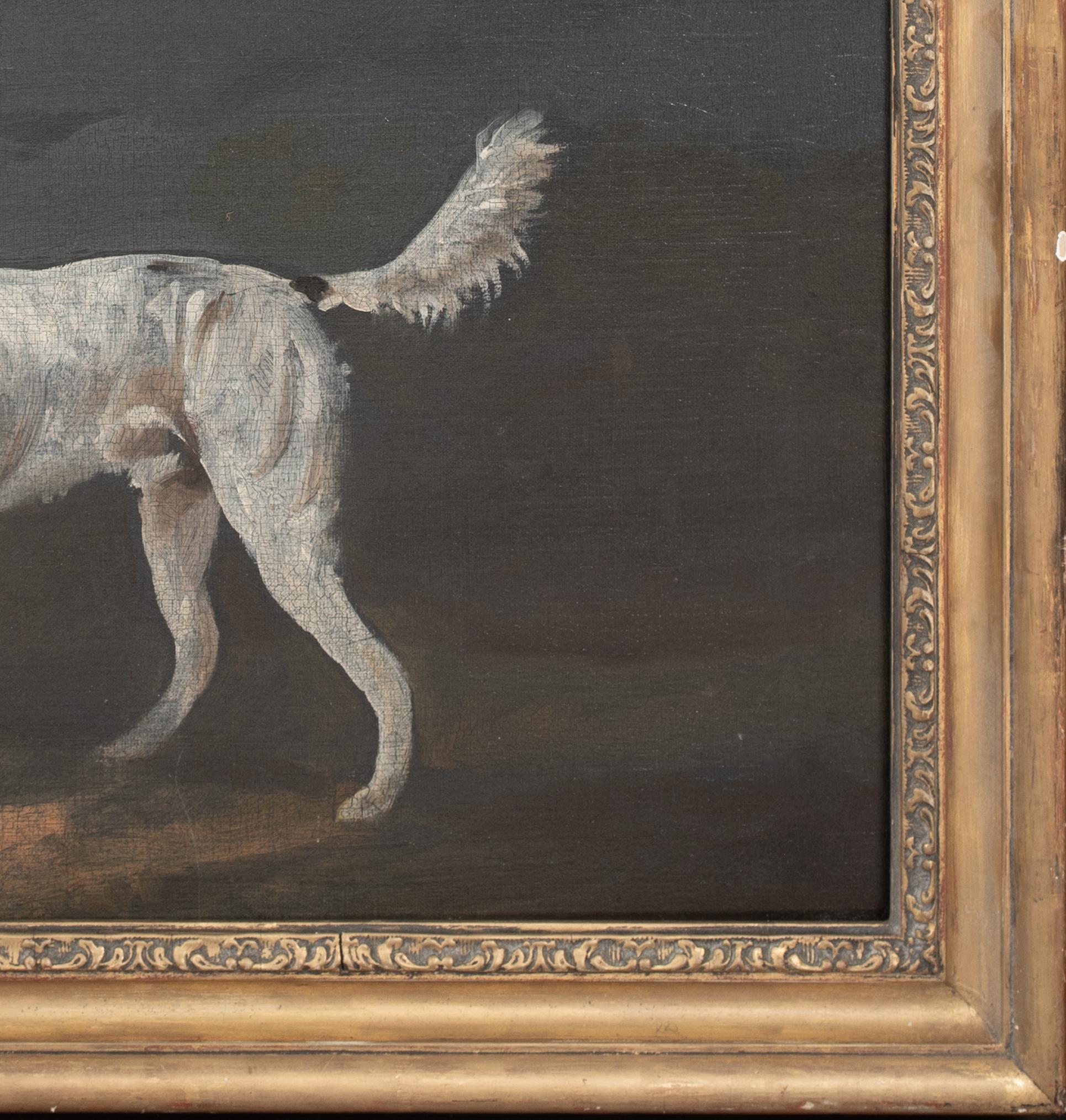 Il Foxhound preferito, 18° secolo  attribuito a Francis Sartorius I 3