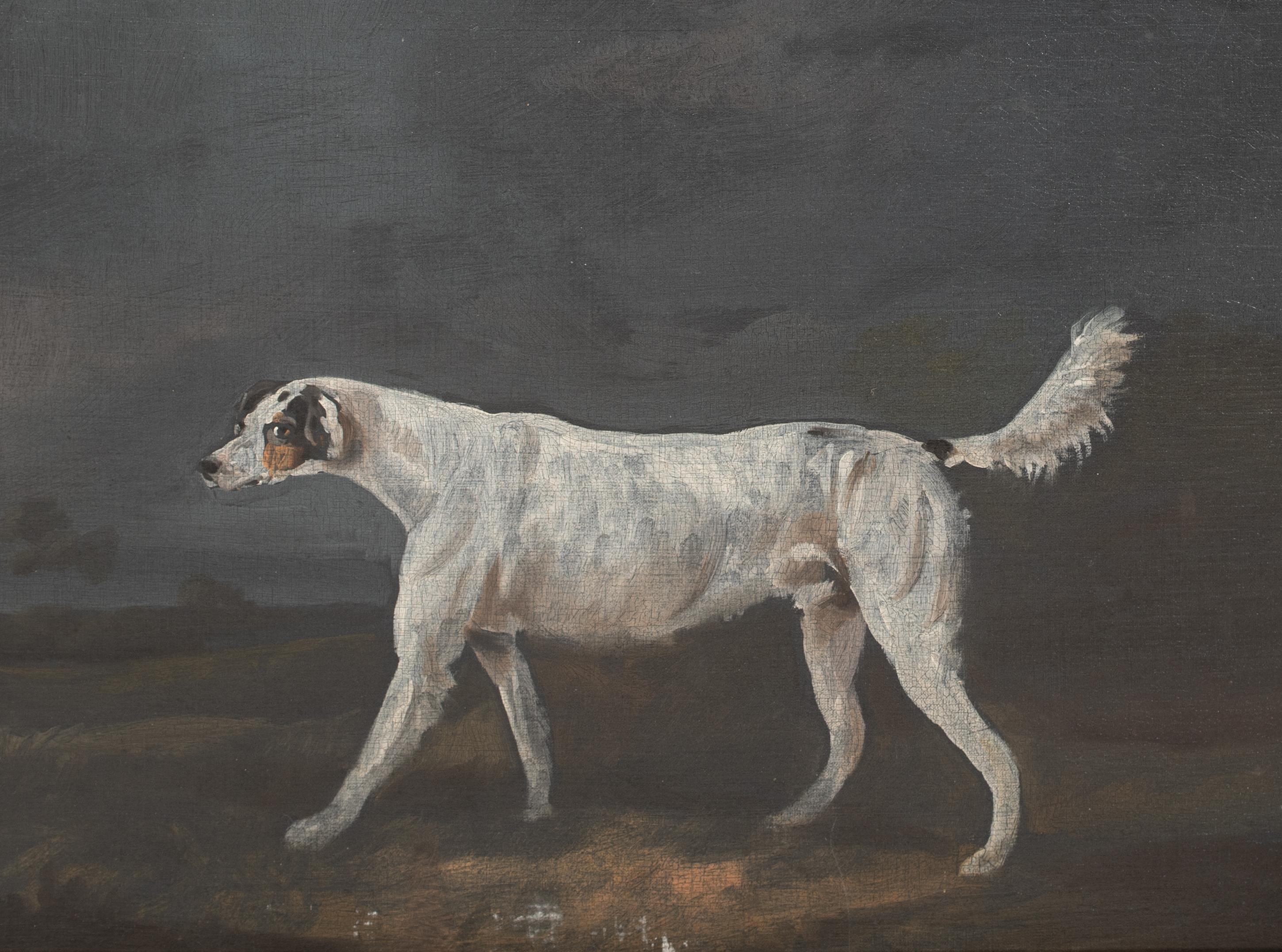 Il Foxhound preferito, 18° secolo  attribuito a Francis Sartorius I 4