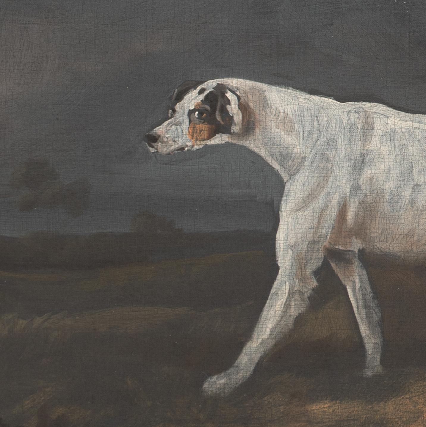 Il Foxhound preferito, 18° secolo  attribuito a Francis Sartorius I 5