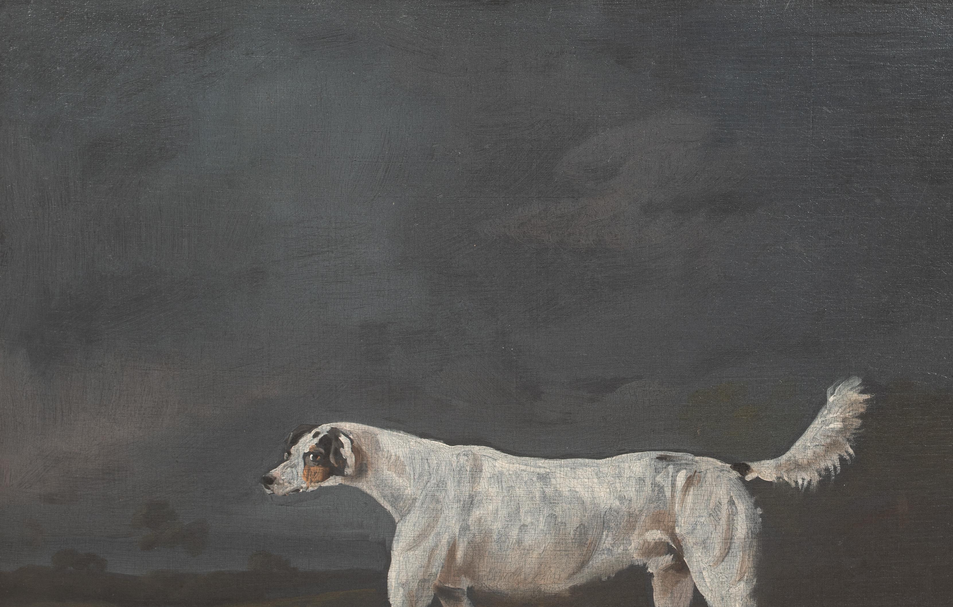 Il Foxhound preferito, 18° secolo  attribuito a Francis Sartorius I 6