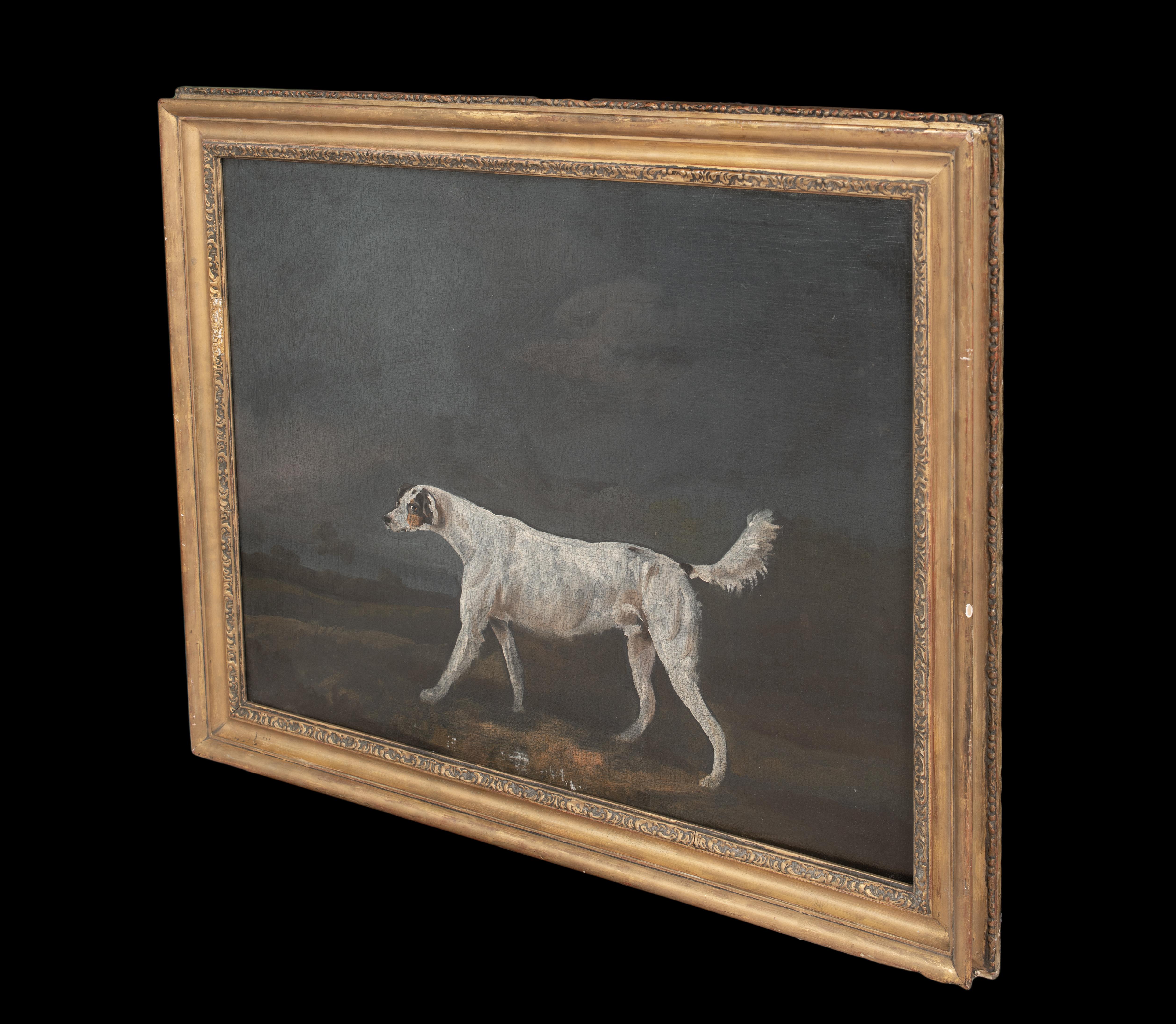 Il Foxhound preferito, 18° secolo  attribuito a Francis Sartorius I 7