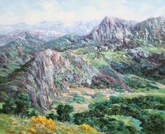 En los picos de Europa (Santander) - Óleo sobre tela - Sin enmarcar