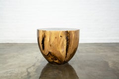 Francisco Carved Trunk Solid Argentine Rosewood Live Edge Table from Costantini