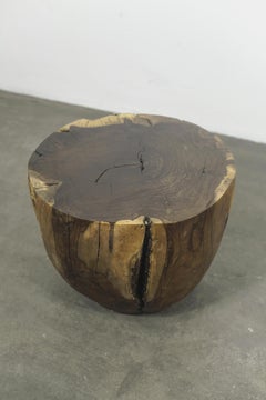 Carved Trunk Solid Exotic Wood Live Edge Table from Costantini, Francisco