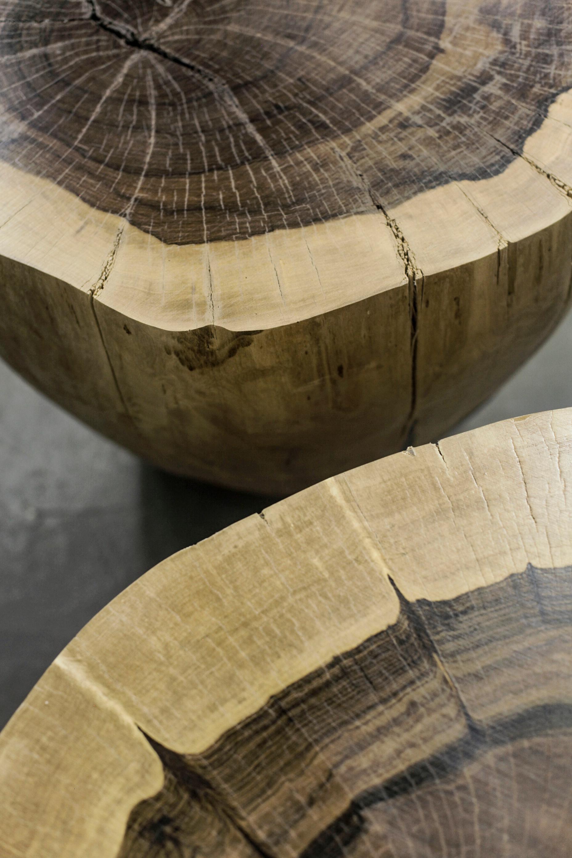 Geschnitzter Truhentisch aus massivem exotischem Holz mit lebendiger Kante von Costantini, Francisco (Argentinisch) im Angebot