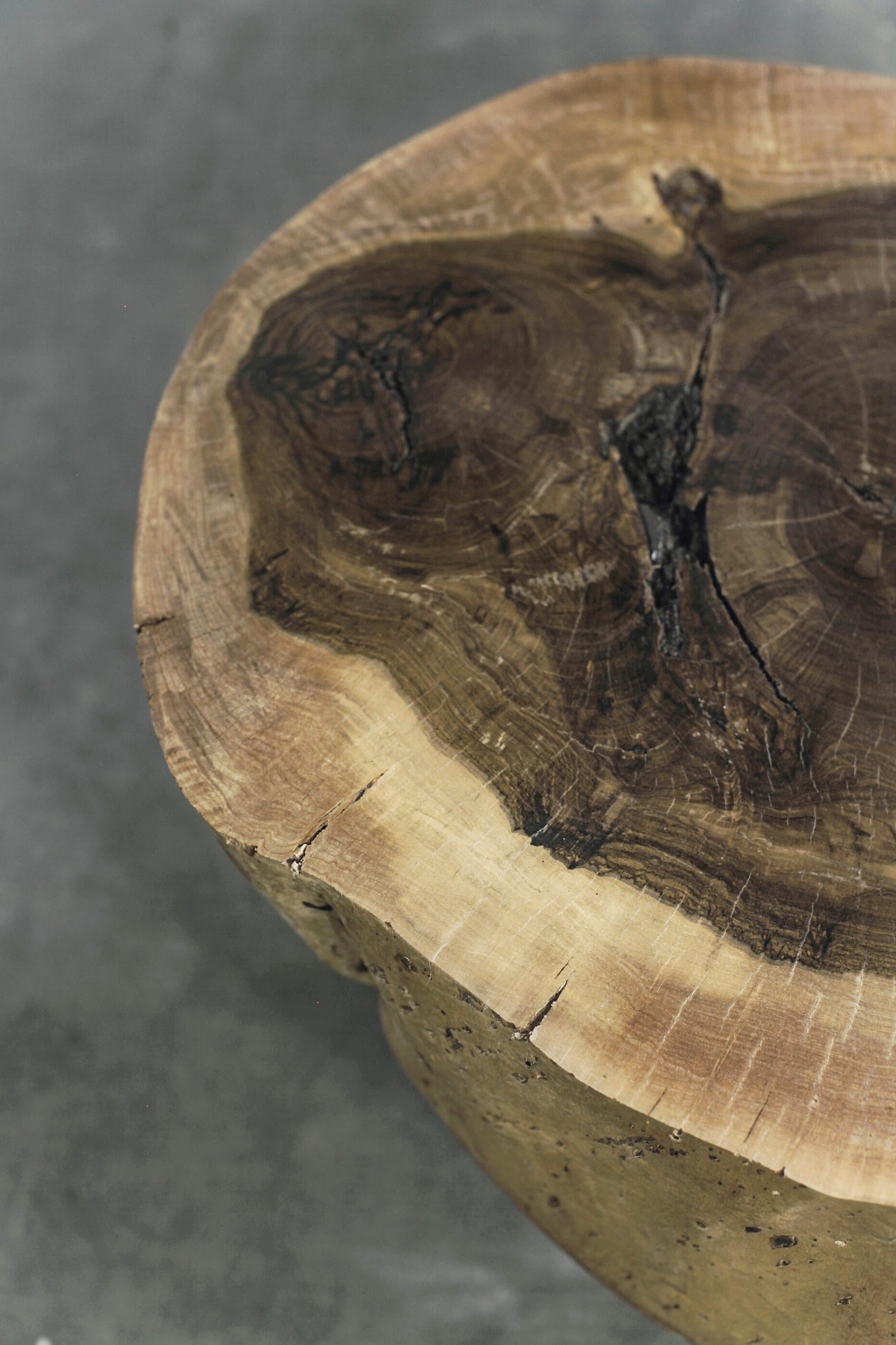 Geschnitzter Truhentisch aus massivem exotischem Holz mit lebendiger Kante von Costantini, Francisco (21. Jahrhundert und zeitgenössisch) im Angebot