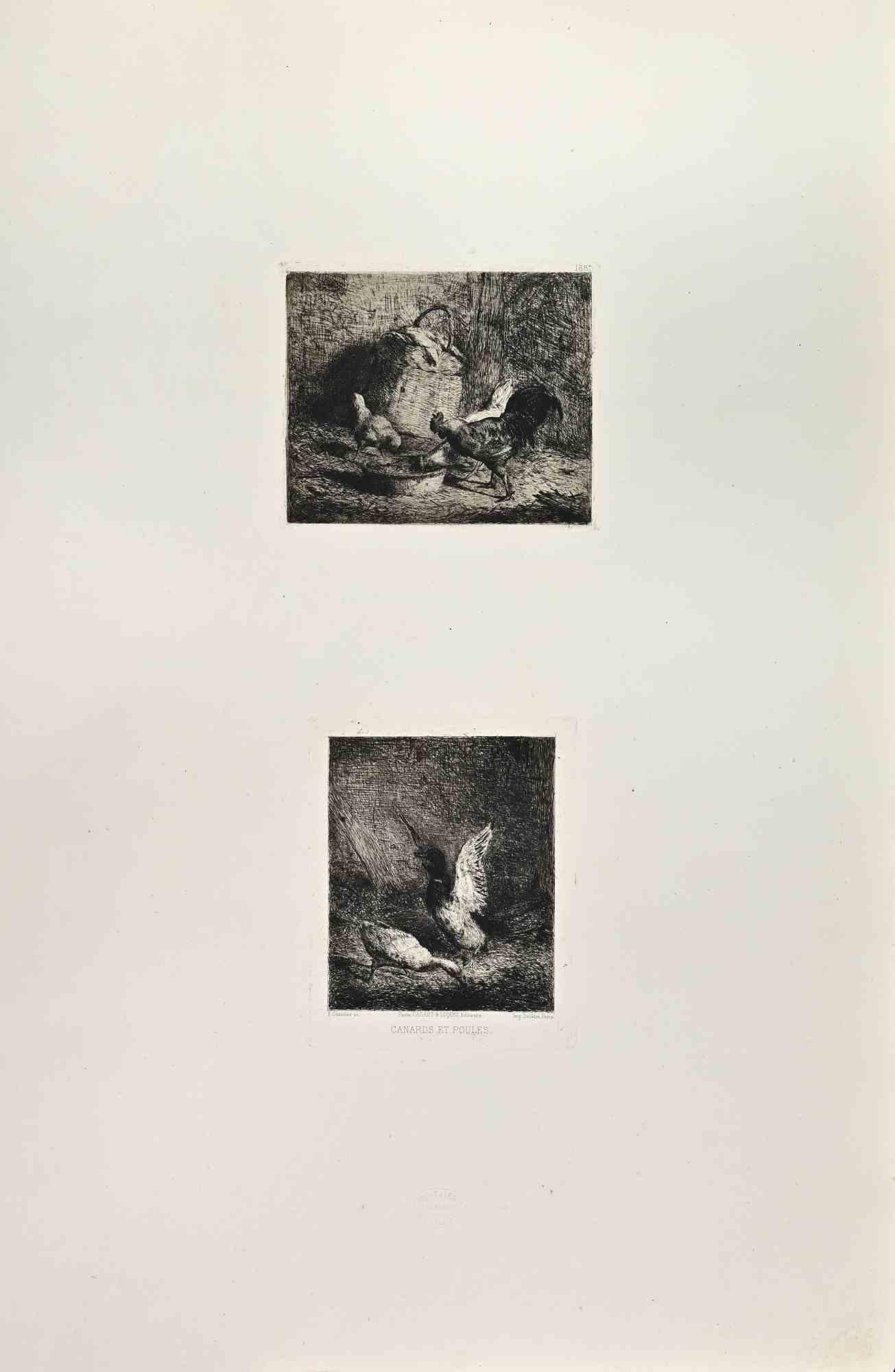 Canards et Poules is a black and White etching realized by Francisco Gimenez in the 1860s. 

Titled in the lower.

Image size: 32x13.

Very good impression with wide margins and a very fresh inking.

Realized for the "Société des Aquafortistes. Born
