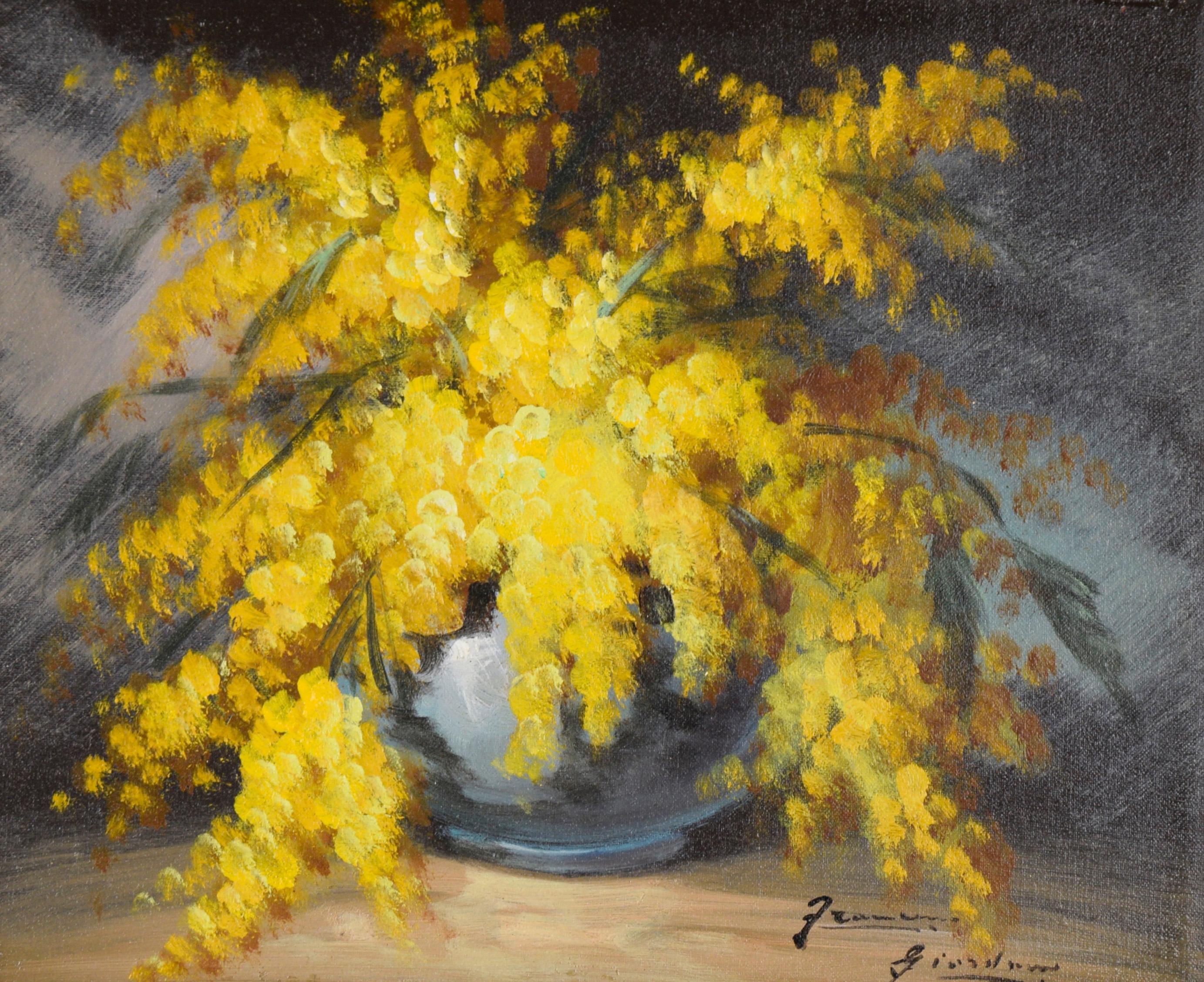 Natura morta con composizione di fiori di mimosa - Olio su tela - Painting di Francisco Giordano