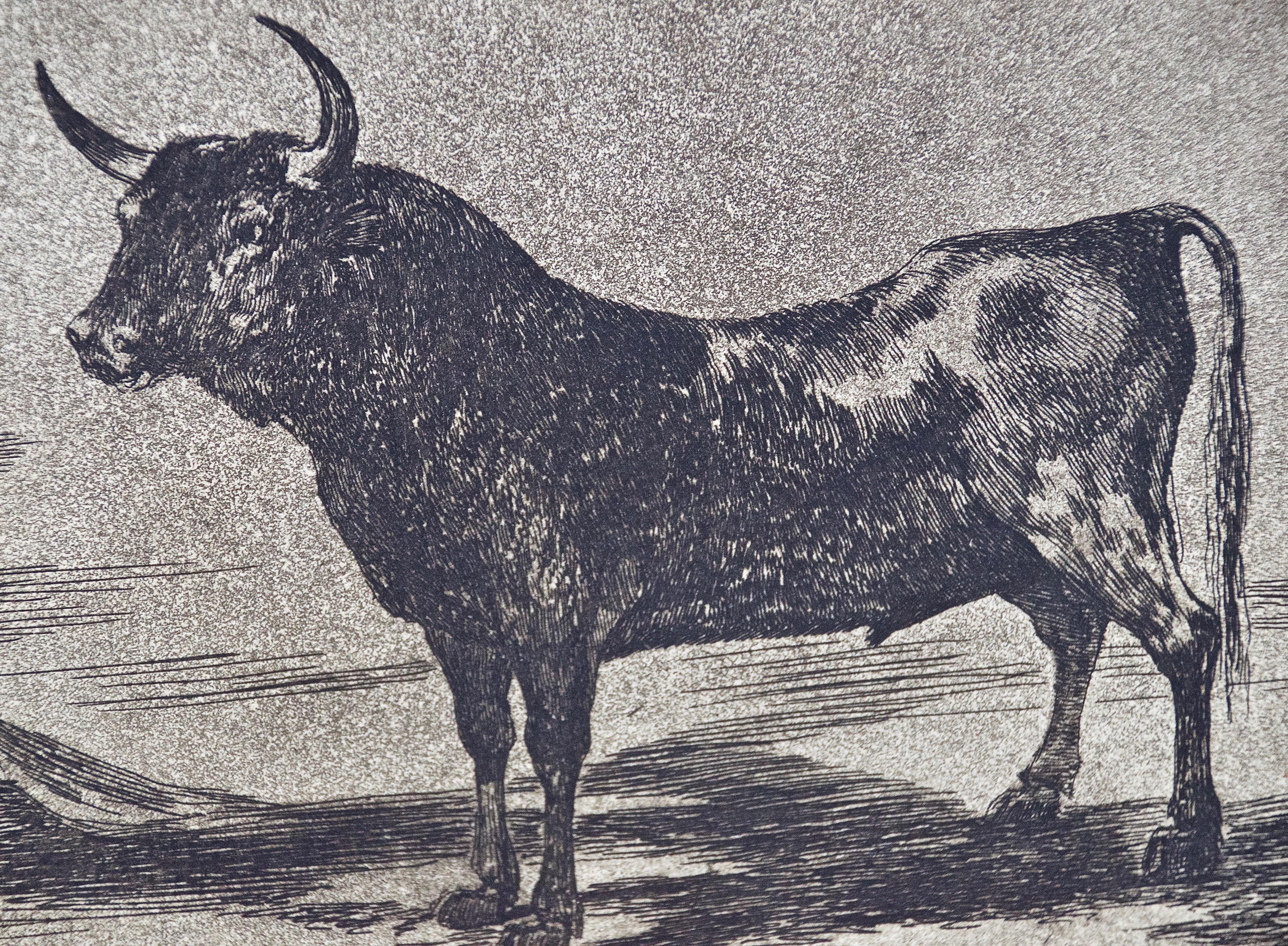 goya bullfighting series