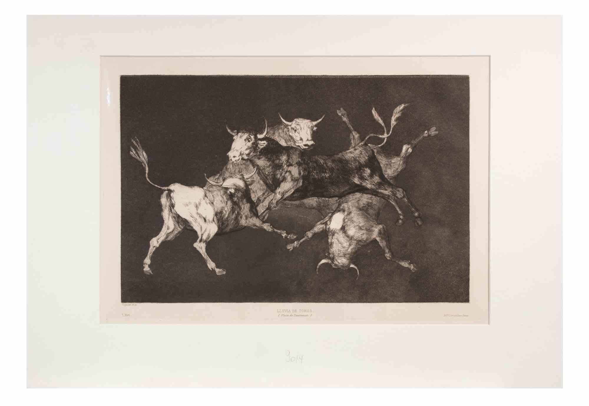 Lluvia de Toros is a  modern artwork realized by Francisco Goya.

Etching and Aquatint, from the Series "Los Proverbios", realized in 1815.

This copy belongs to the edition of "L'Art", published in 1877.

Very good condition.