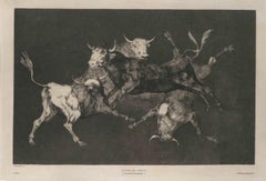 Lluvia De Toros - Original Etching by F. Goya - 1815/19