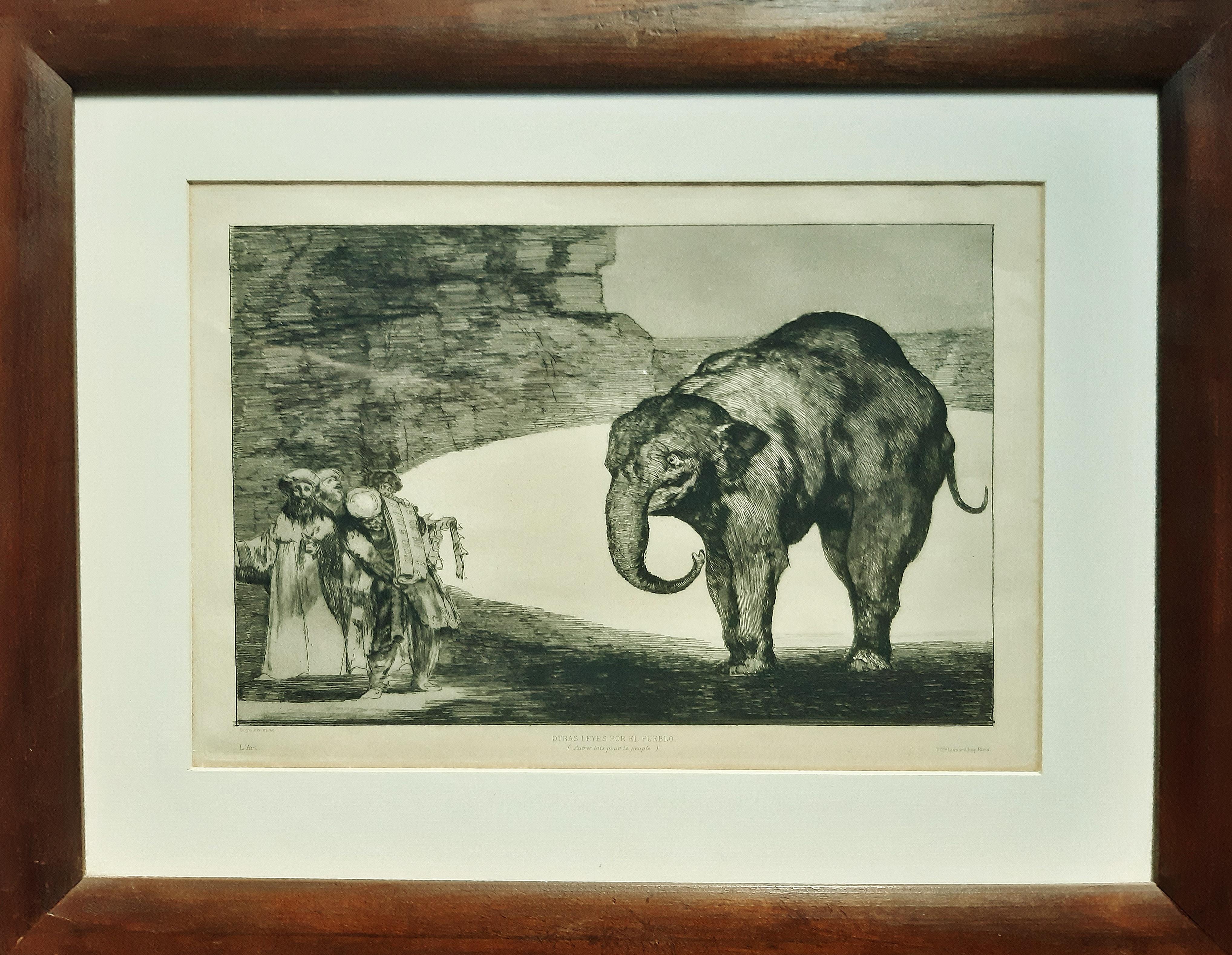 goya elephant