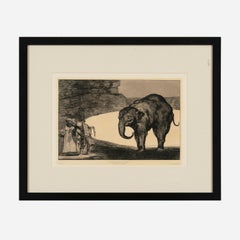 Quien se pondra el cascabel al gato?