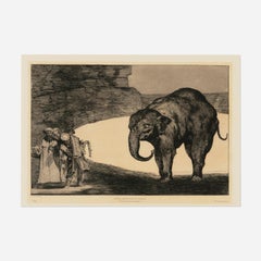 Quien se pondra el cascabel al gato?