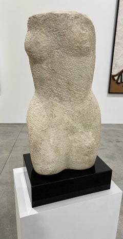 Torso (FGPC-001)