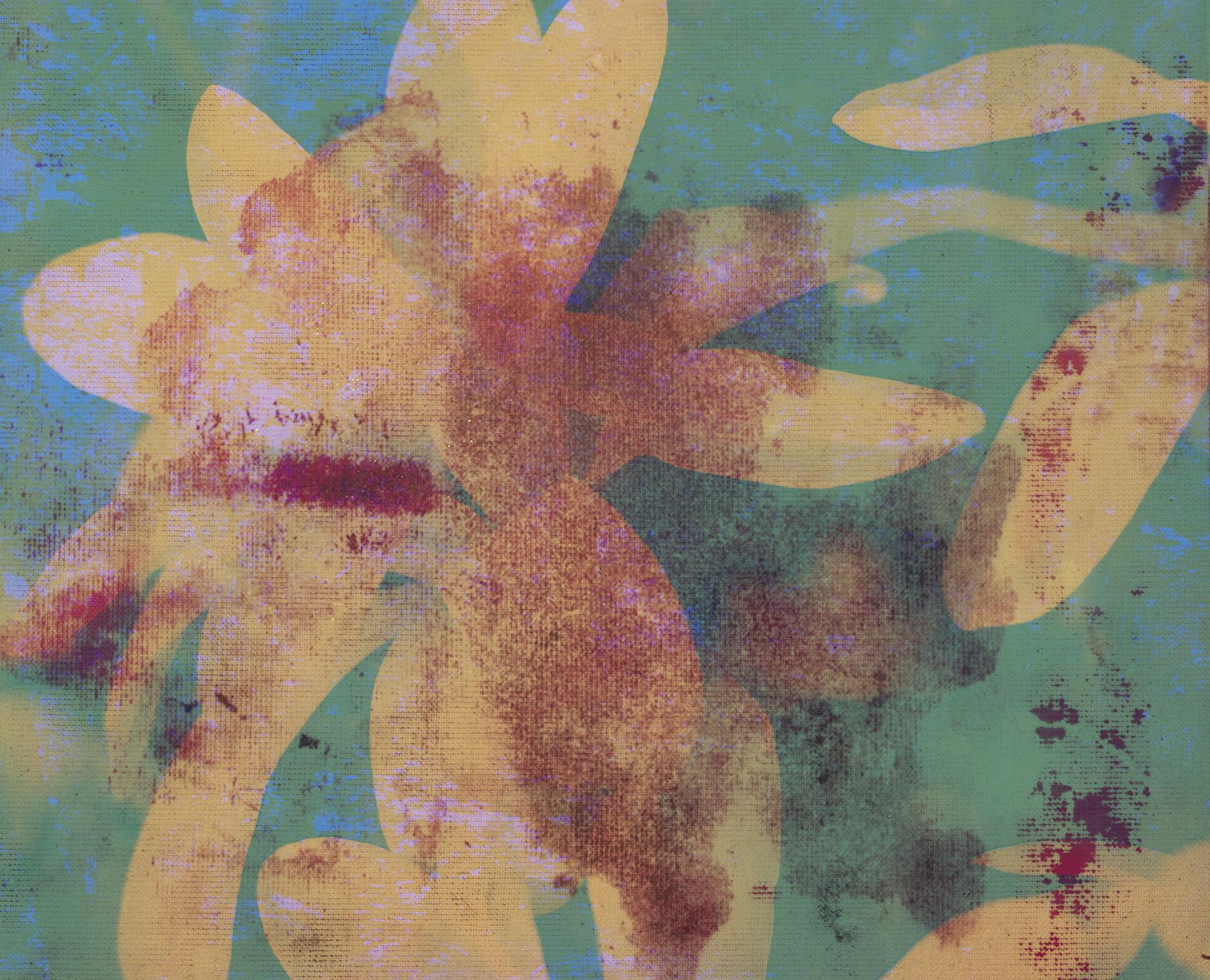 Francisco Nicolás Print - B00a3-Contemporary, Abstract, Minimalism, Modern, Expressionist, Surrealist