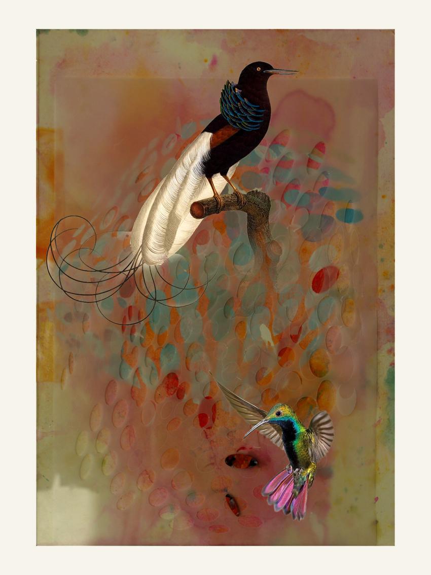 Vögel 003 – Zeitgenössisch, abstrakt, modern, Pop-Art, Surrealistisch, Landschaft