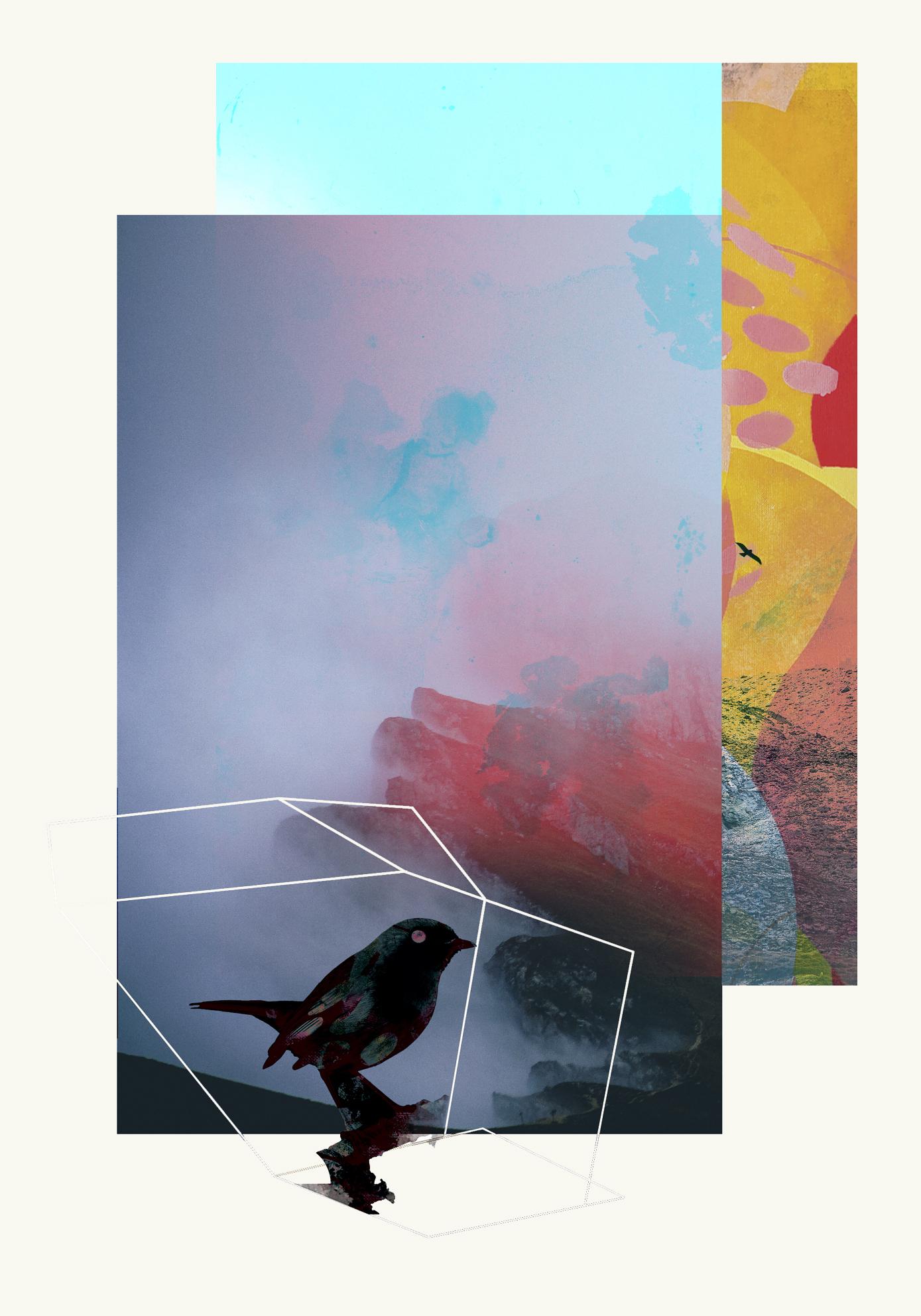 Oiseaux 2 -Contemporain, Abstrait, Gestuel, Street art, Pop, Moderne, Géométrique - Mixed Media Art de Francisco Nicolás
