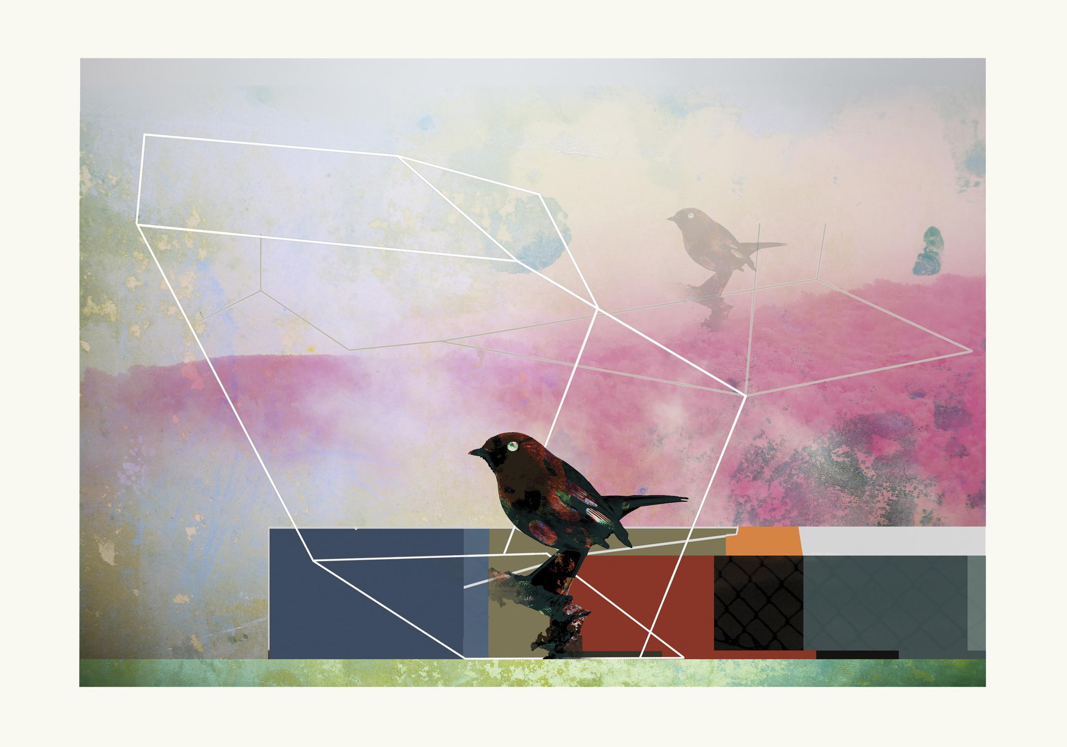 Oiseaux 5 - Contemporain, abstrait, gestuel, art urbain, pop, moderne, géométrique - Mixed Media Art de Francisco Nicolás