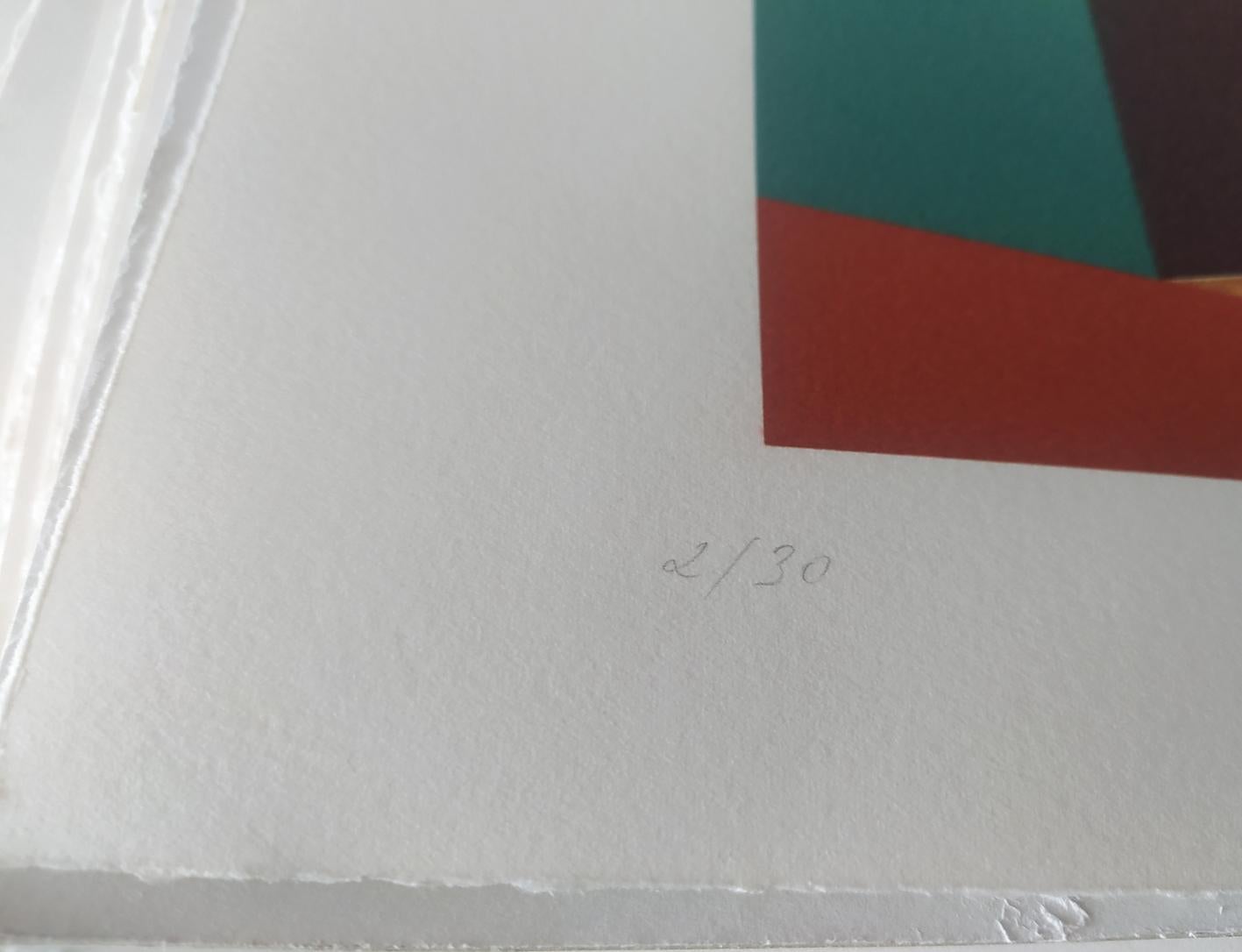 Camping, 2009

Impression numérique pigmentaire à l'encre Ultrachrome sur papier Fabriano Rosaspina. Signé à la main par l'artiste, et certificat d'authenticité. Edition de 30  (Non encadré)

Ses œuvres ont été exposées au musée Reina Sofía de