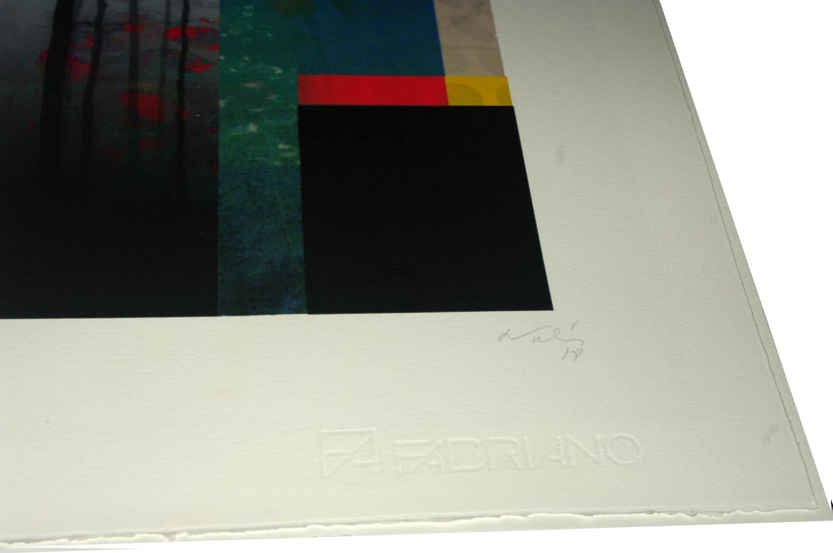 One bird at the forest

Digital pigment print Ultrachrome ink on Fabriano Rosaspina paper. Hand signed by the artist, and certificate of authenticity. Edition of 25  (Unframed)

His work has been shown in Reina Sofía Museum of Madrid, Royal Academy