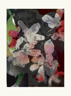 flower9-Contemporary , Abstract, Gestual, Street art, Pop art, Modern, Geometric