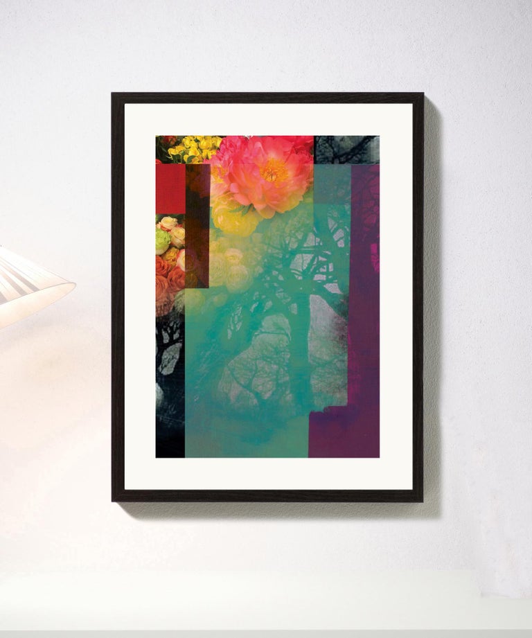Francisco Nicolas Flowers Contemporary Abstract Modern Pop