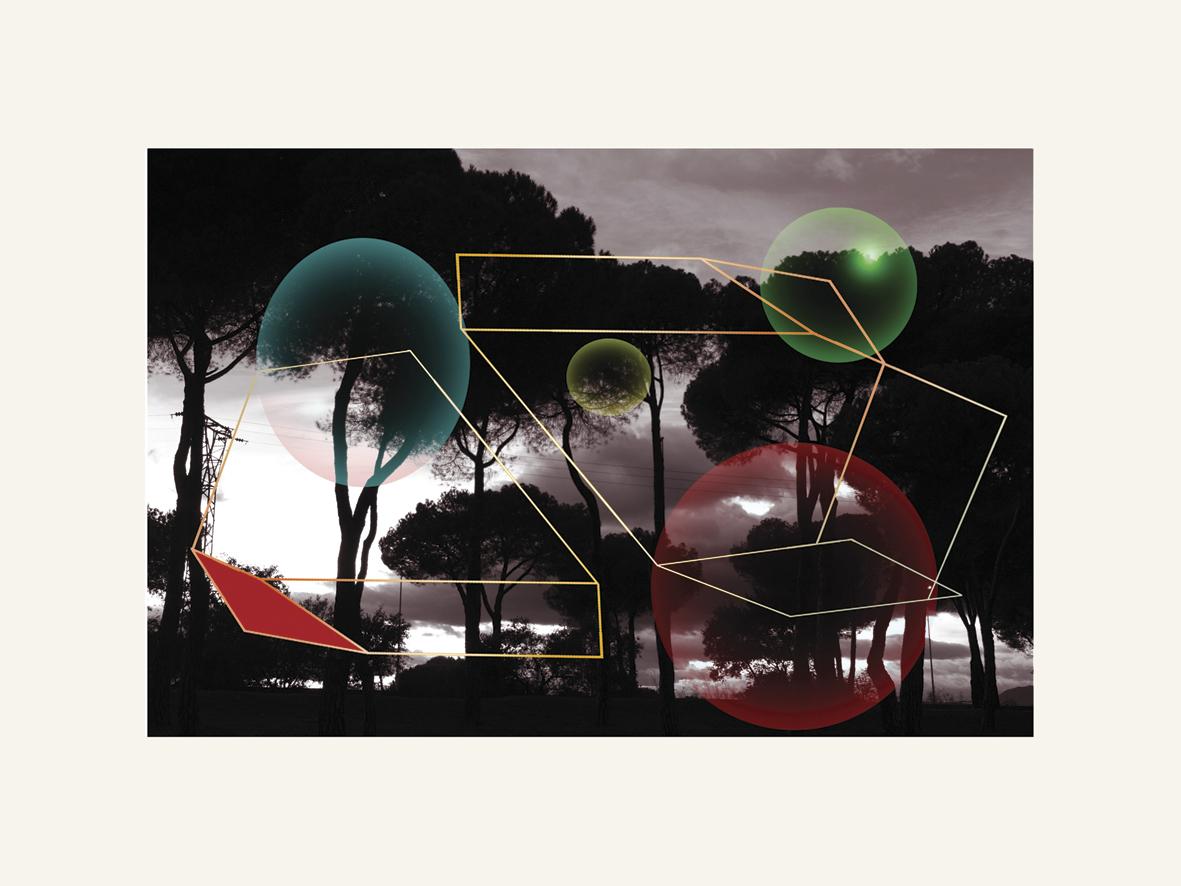 Forest 02 - Contemporain, Abstrait, Minimalisme, Moderne, Surréaliste, Paysage