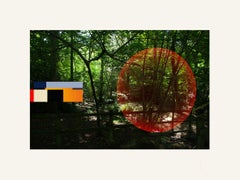 Forest - Contemporary, Abstract, Minimalism, Modern, Surrealist, Landscape