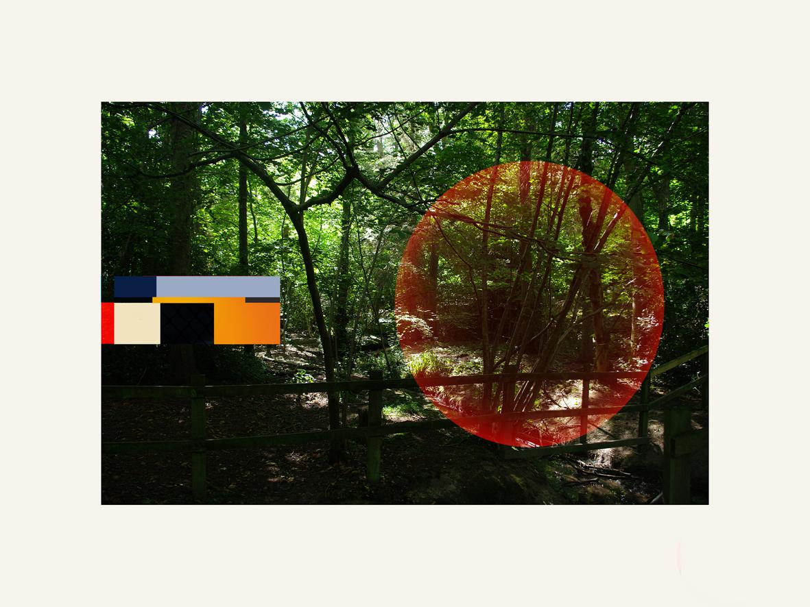 Francisco Nicolás Abstract Print - Forest - Contemporary, Abstract, Minimalism, Modern, Surrealist, Landscape