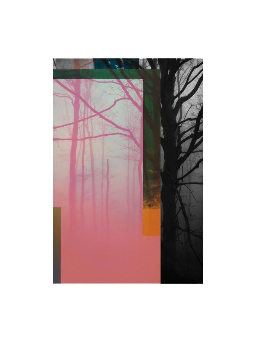 Francisco Nicolás Landscape Print - Forest IX - Contemporary, Abstract, Minimalism, Modern, Pop art, Surrealist