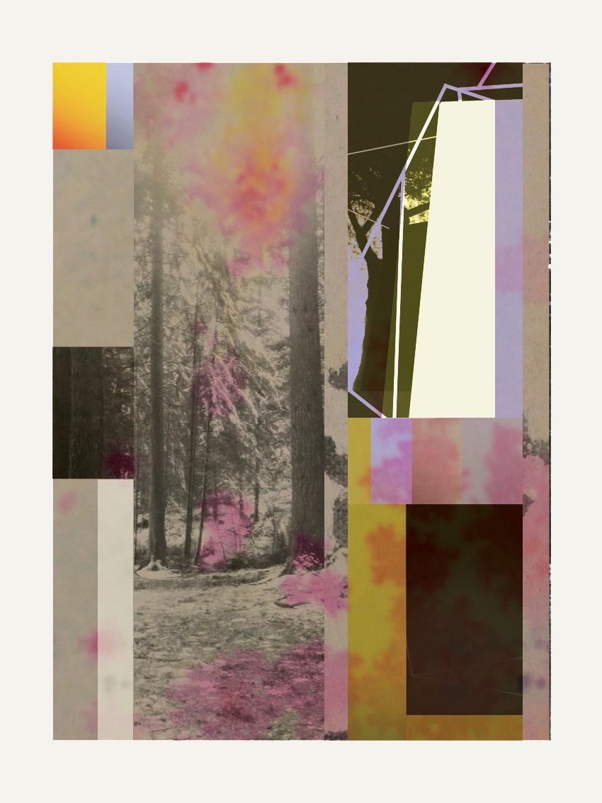 Francisco Nicolás Landscape Print - Forest XIV - Contemporary, Abstract, Modern, Pop art, Surrealist, Landscape