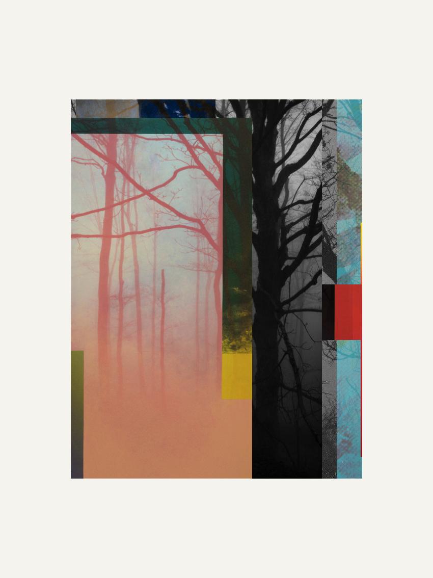 Forest XIX – Zeitgenössisch, Abstrakt, Minimalismus, Moderne, Pop Art, Surrealistisch