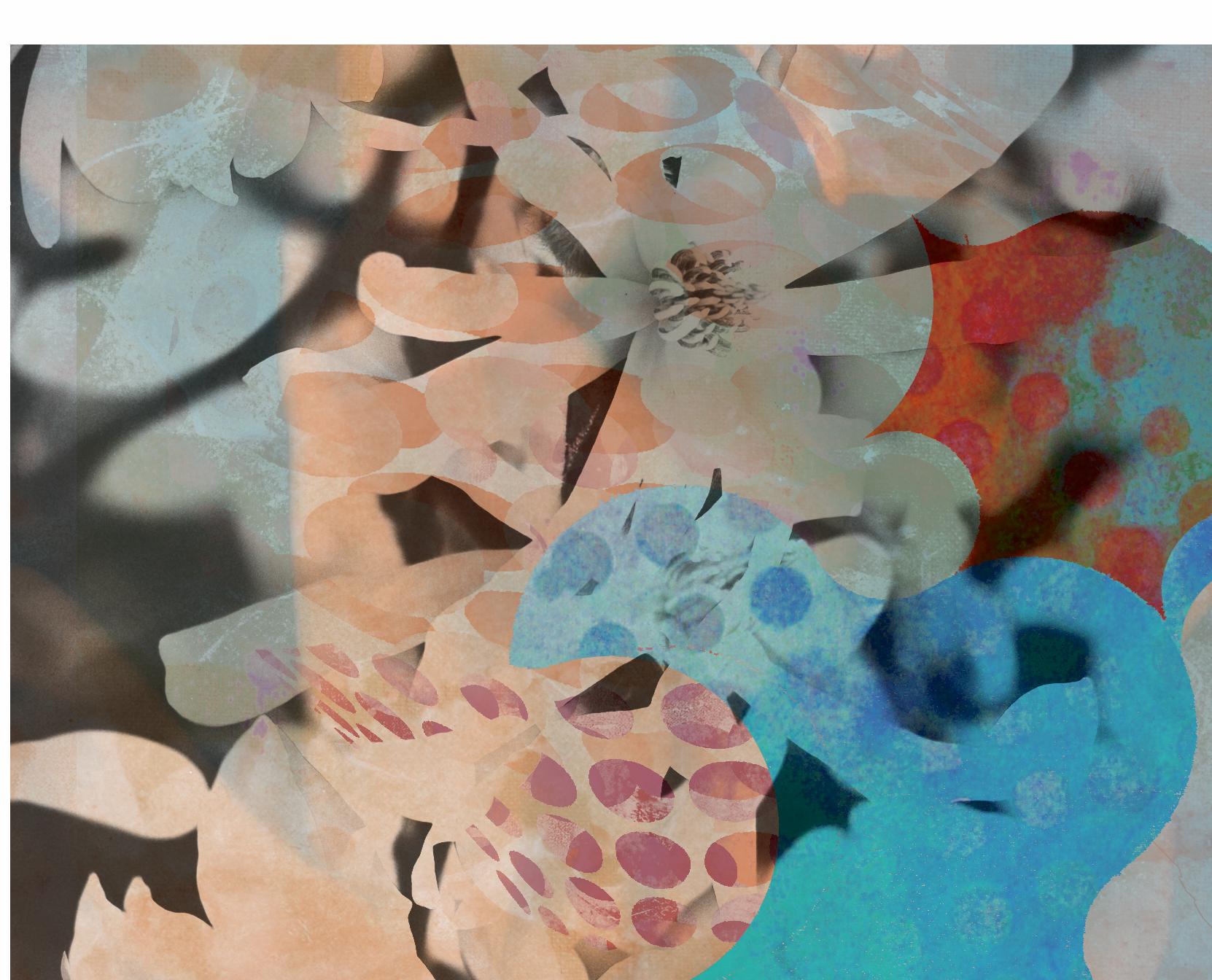 Flowers VII, 2019
Edition of 25

Digital pigment print Ultrachrome ink on Fabriano Rosaspina paper. Hand signed by the artist, and certificate of authenticity,  (Unframed)

His work has been shown in Reina Sofía Museum of Madrid, Royal Academy of