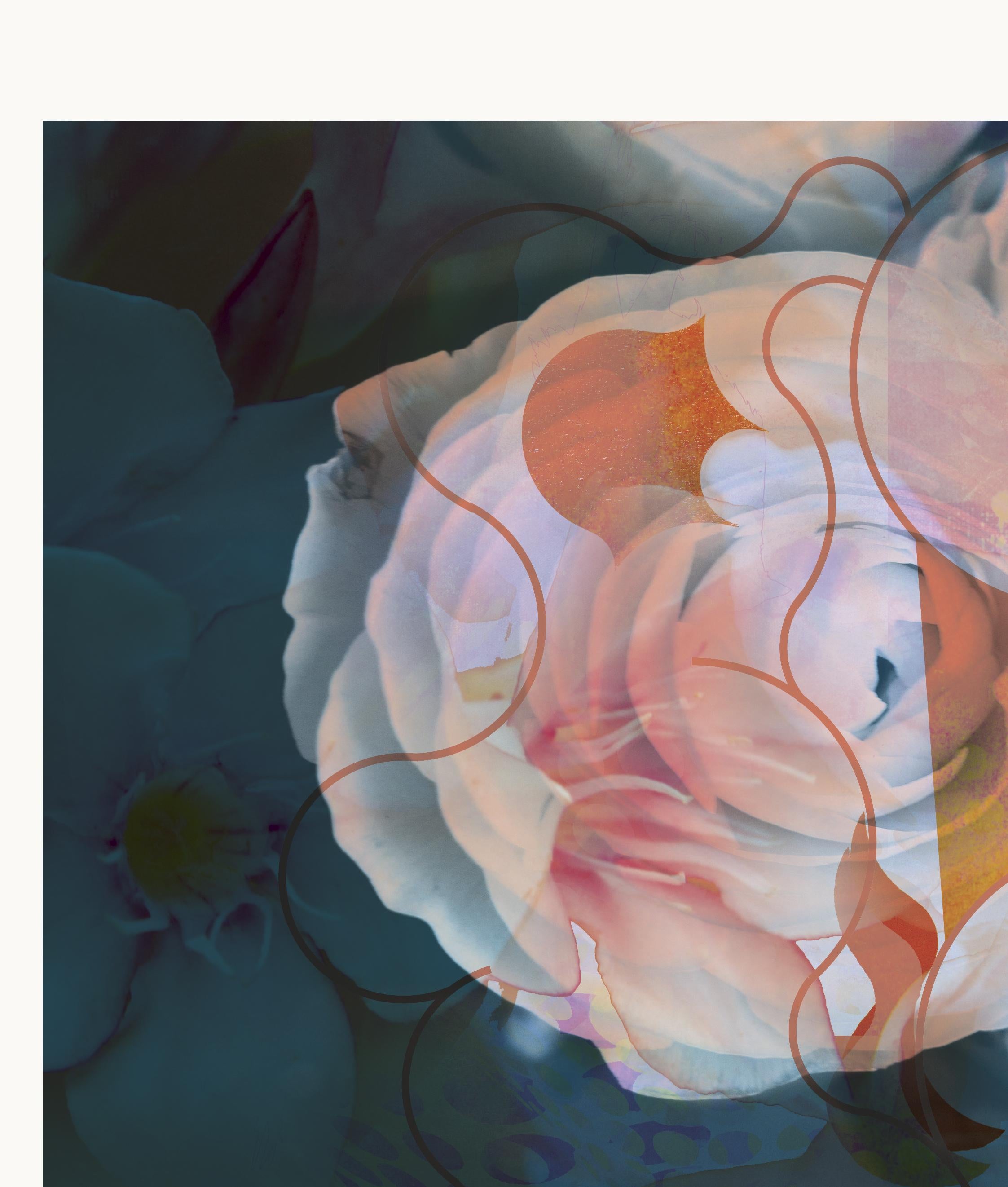 Blumen X 2019
Auflage von 25 Stück

Digitaler Pigmentdruck mit Ultrachrome-Tinte auf Fabriano Rosaspina-Papier. Handsigniert vom Künstler, mit Echtheitszertifikat,  (Ungerahmt)

Seine Werke wurden im Reina Sofía Museum in Madrid, in der Royal