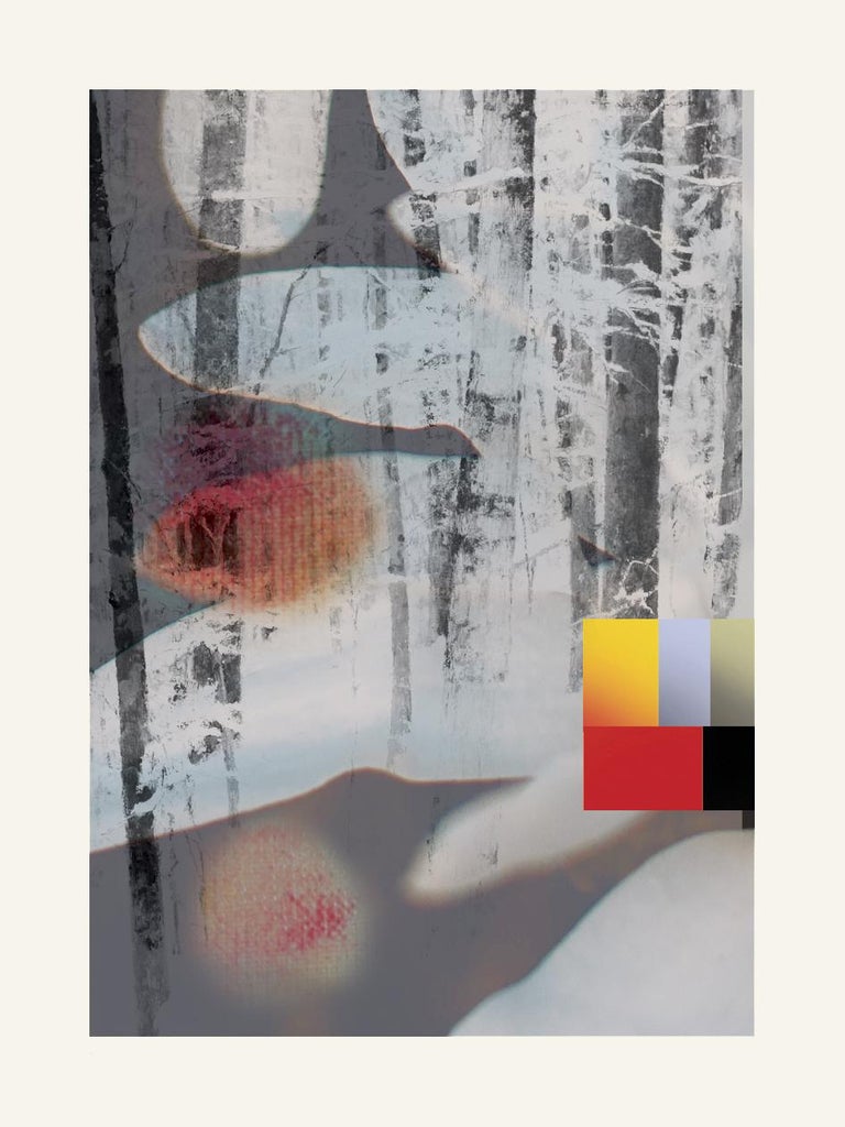 Francisco Nicolas White Flowers Contemporary Abstract Modern
