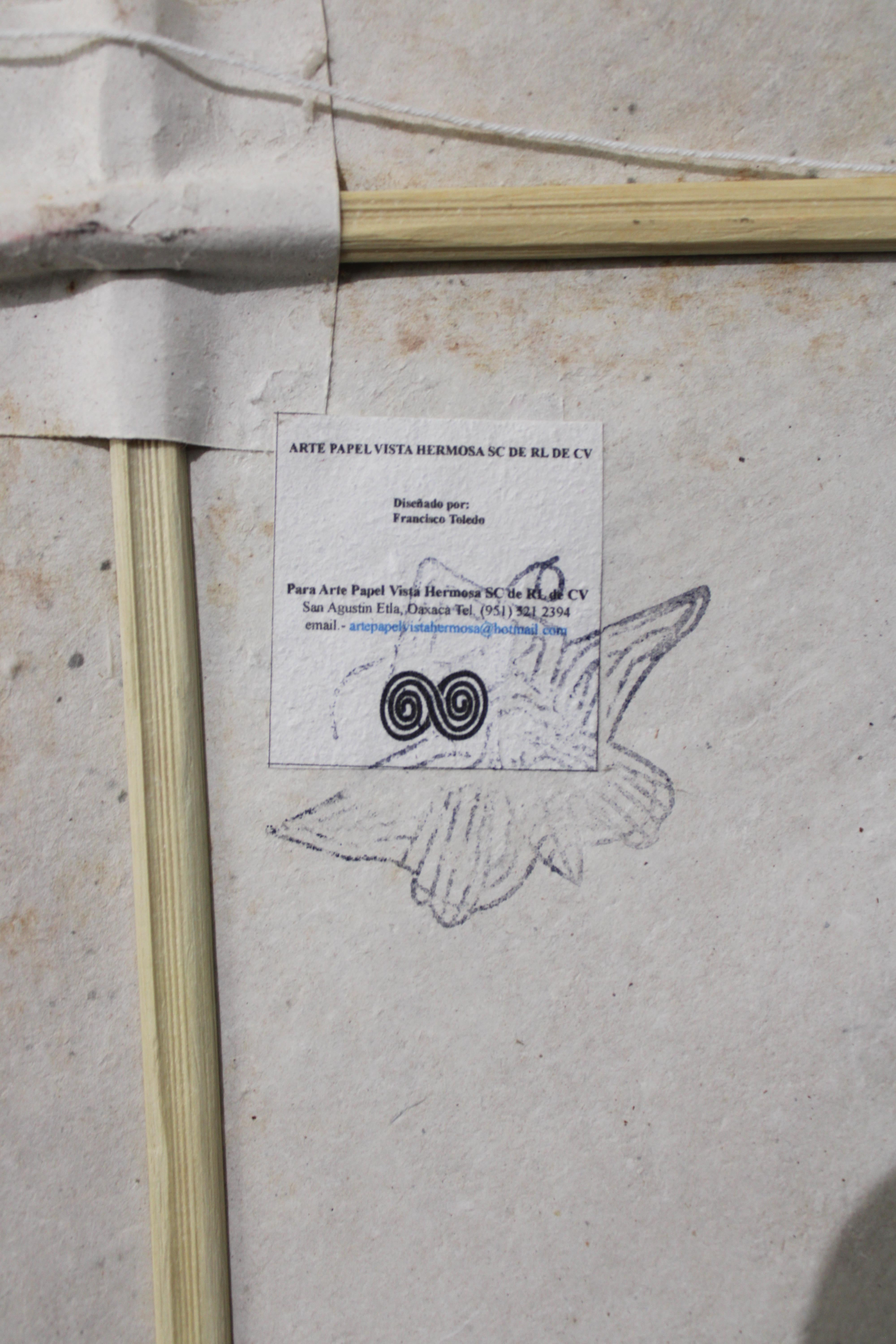 Francisco Toledo Kite Elephant FRAMED For Sale 7