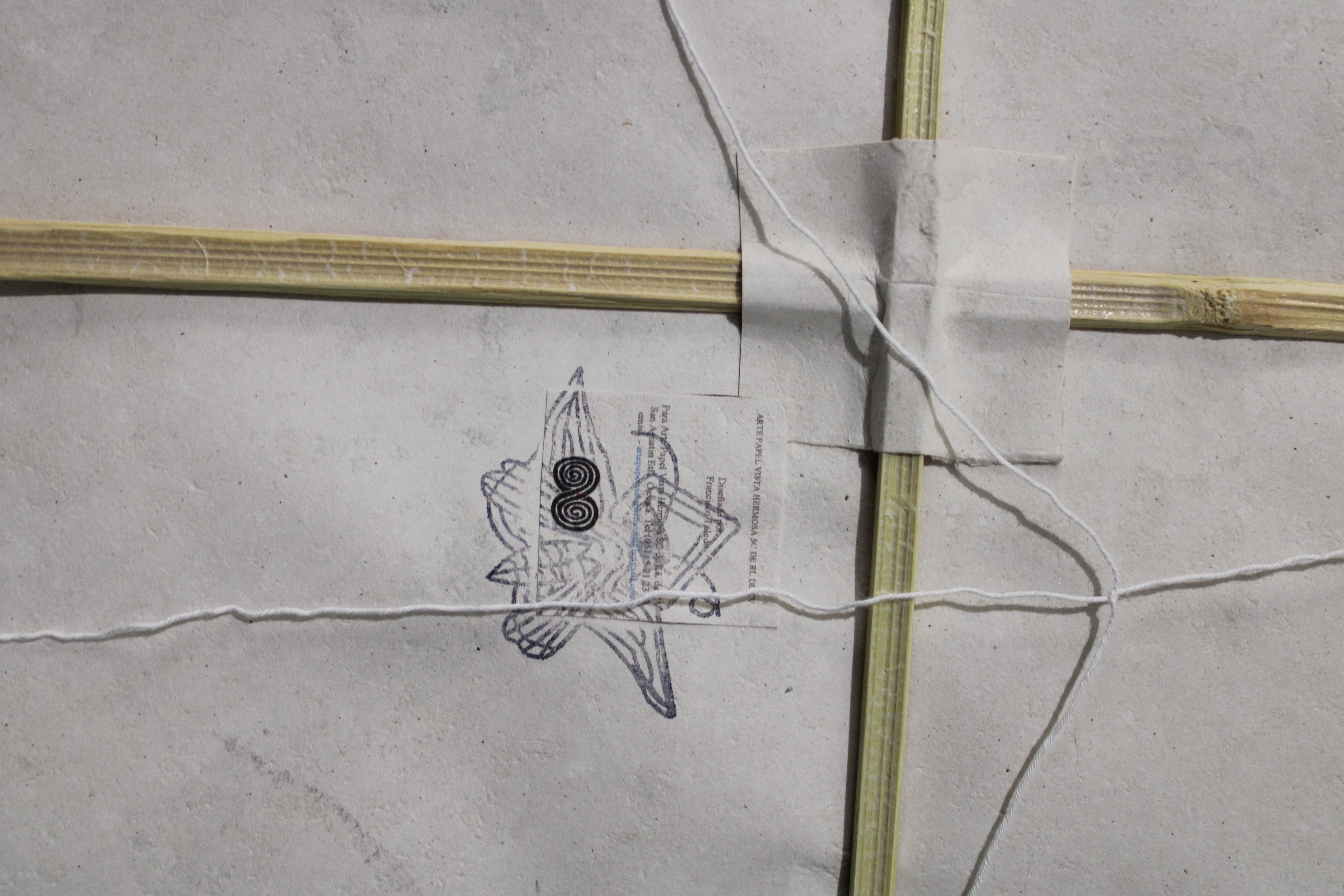 Francisco Toledo Kite Monkey FRAMED For Sale 1