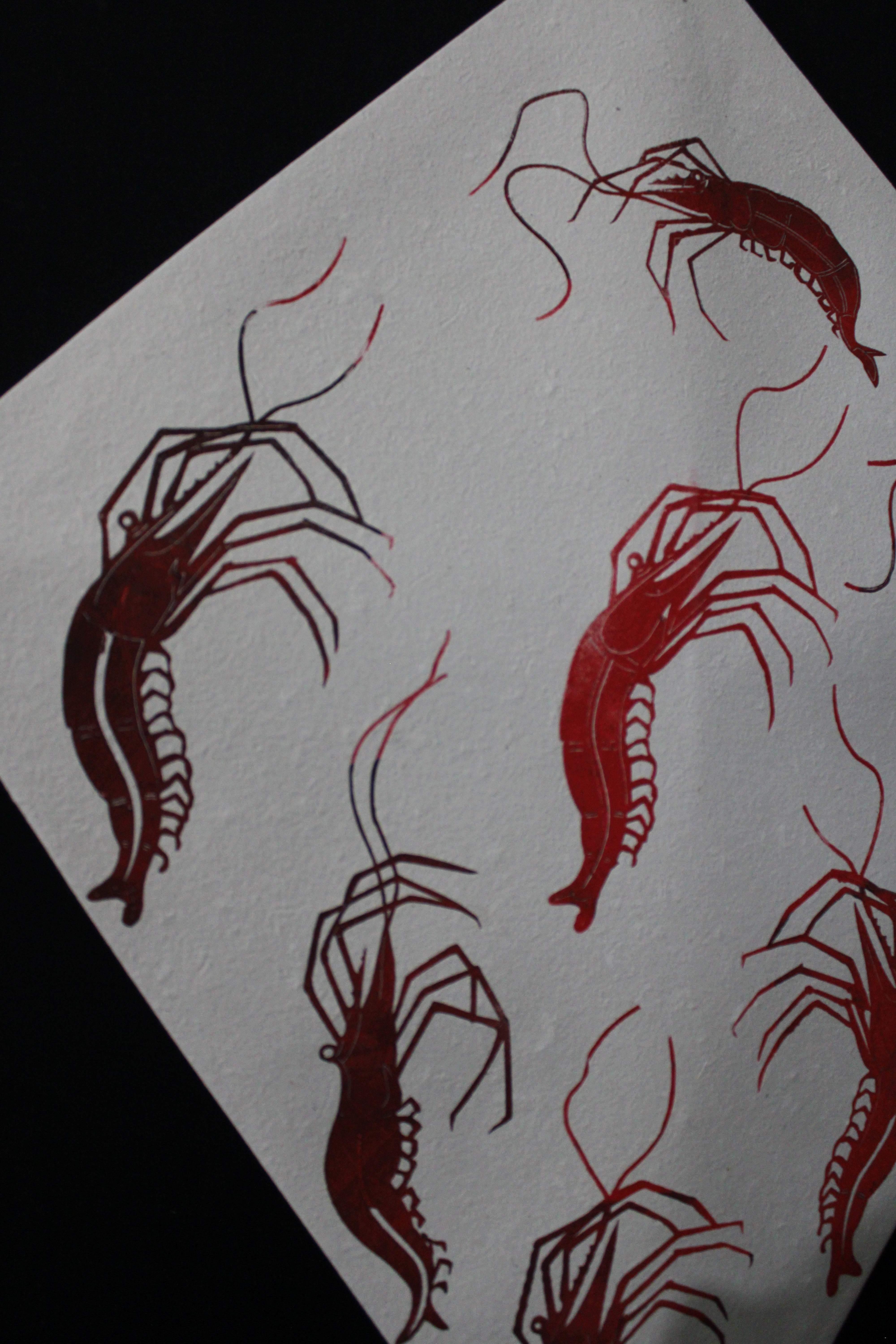 Toledo Kite Shrimp FRAMED For Sale 1