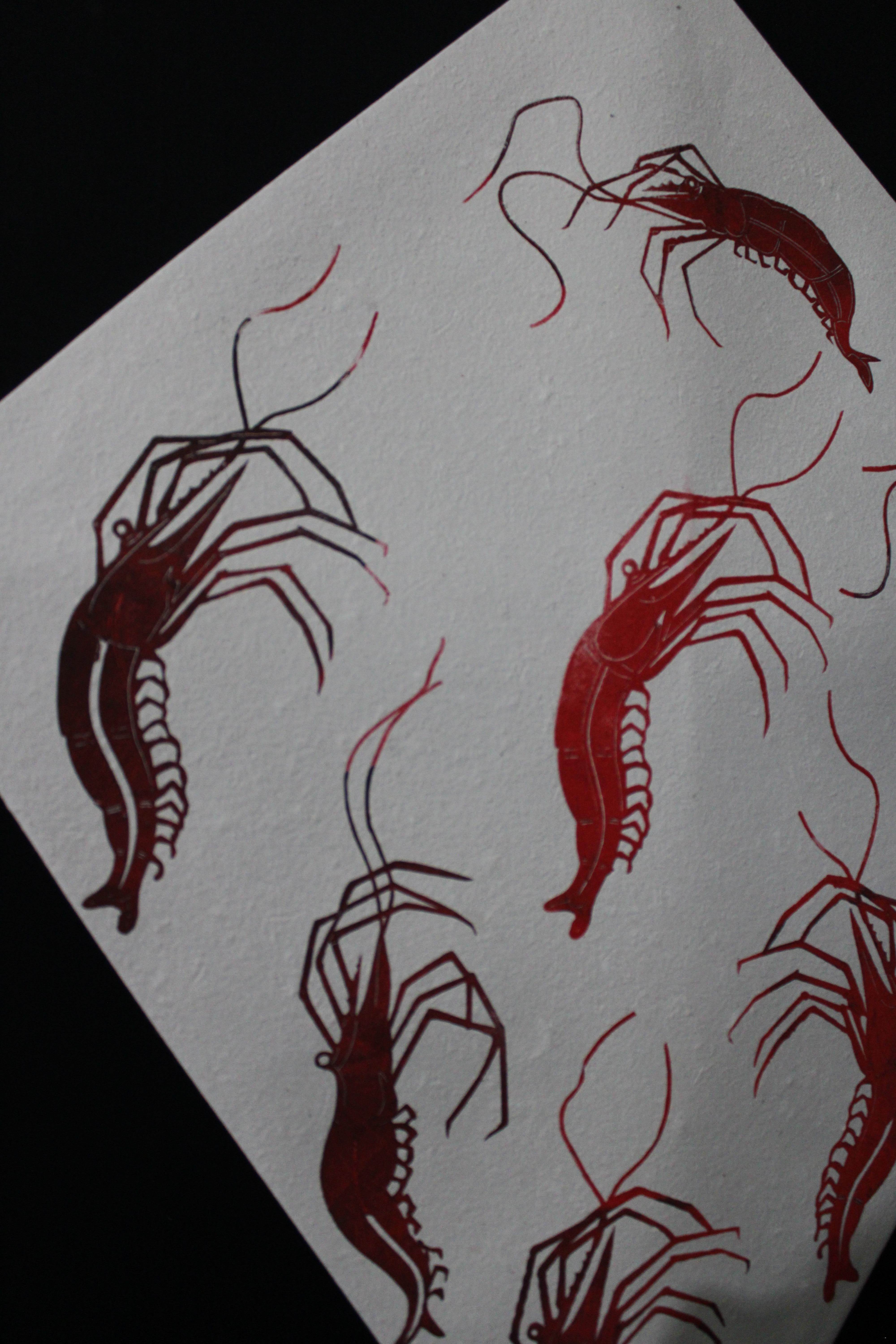 Toledo Kite Shrimp FRAMED For Sale 2
