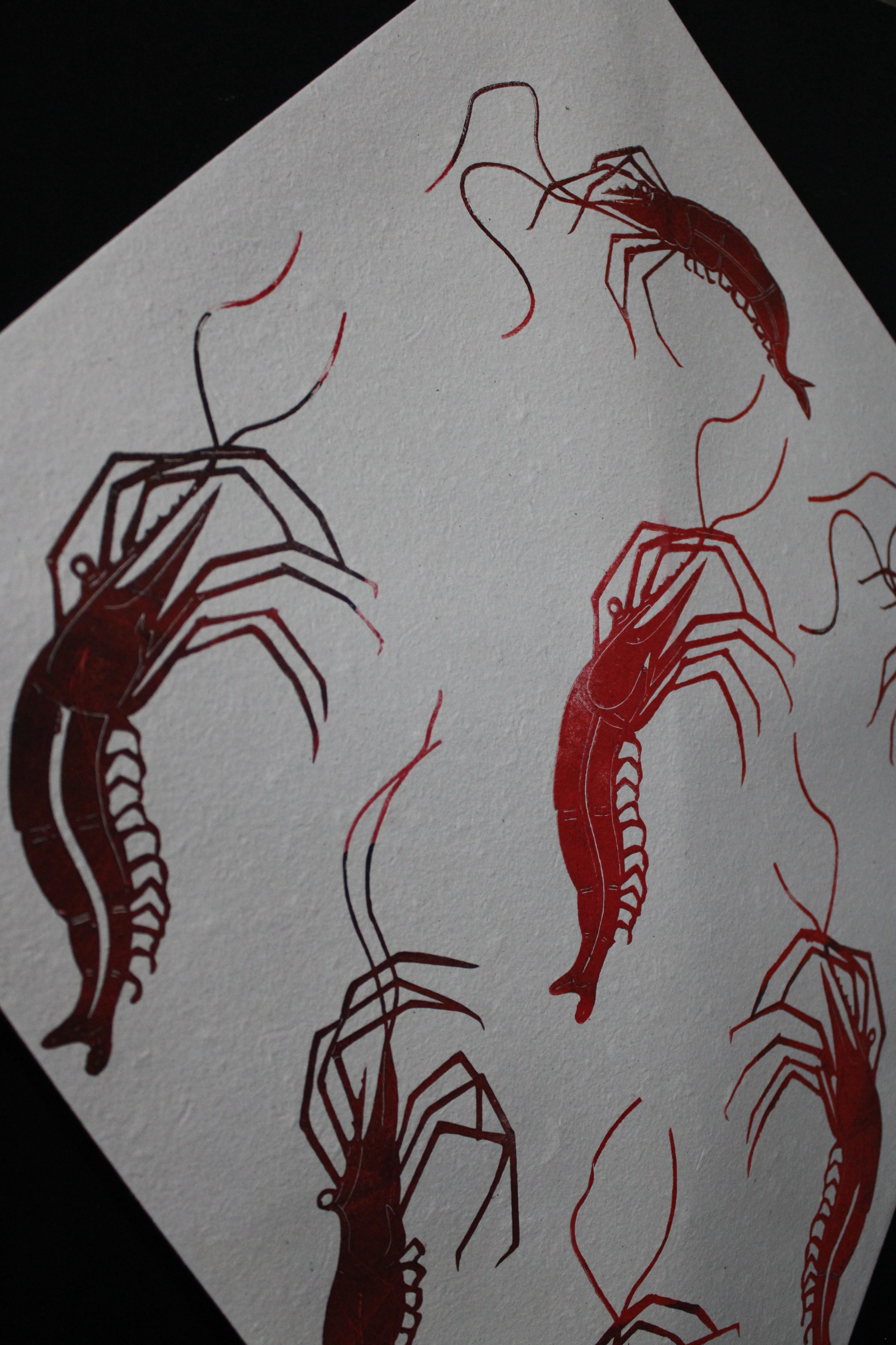 Toledo Kite Shrimp FRAMED For Sale 5