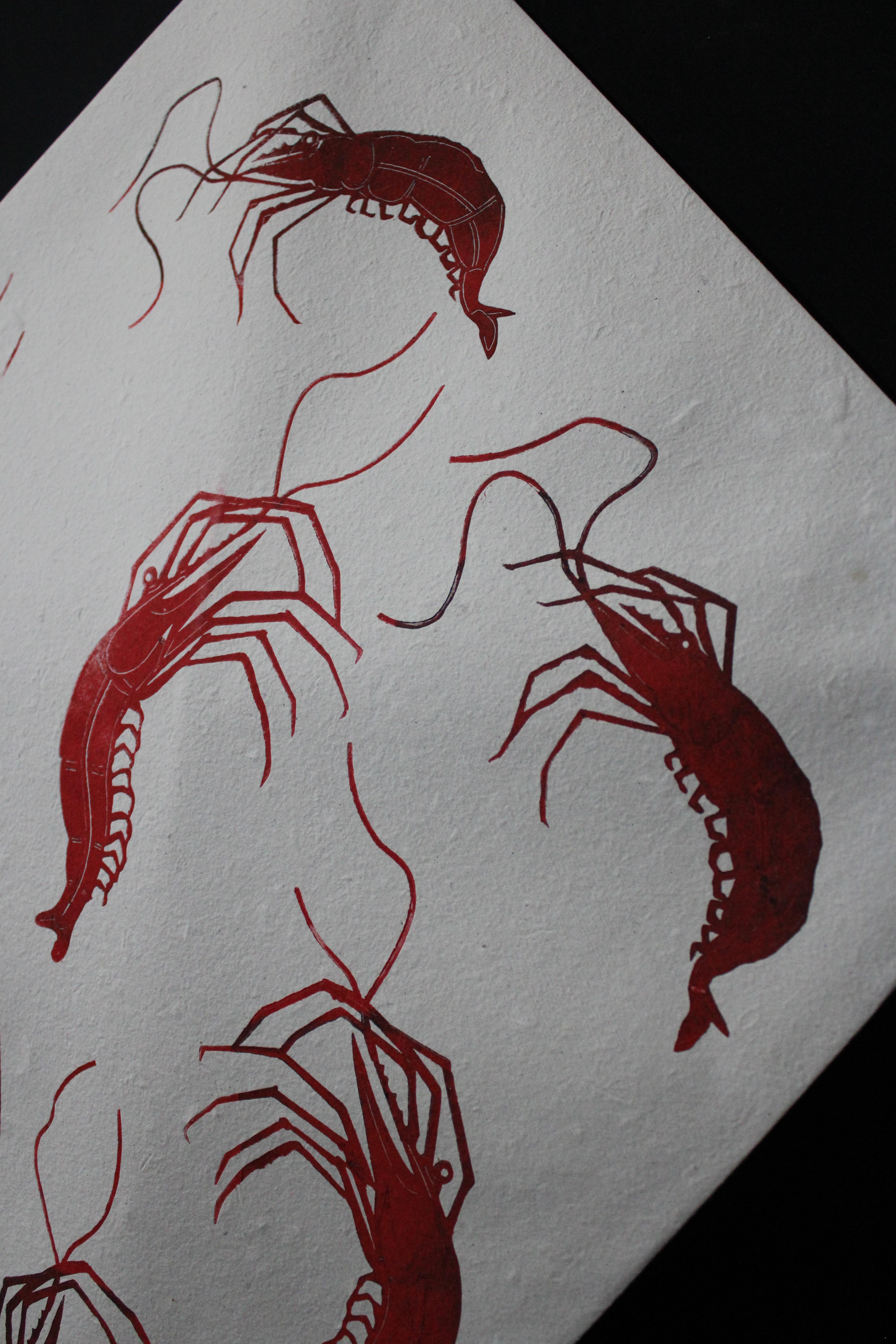 Toledo Kite Shrimp FRAMED For Sale 6