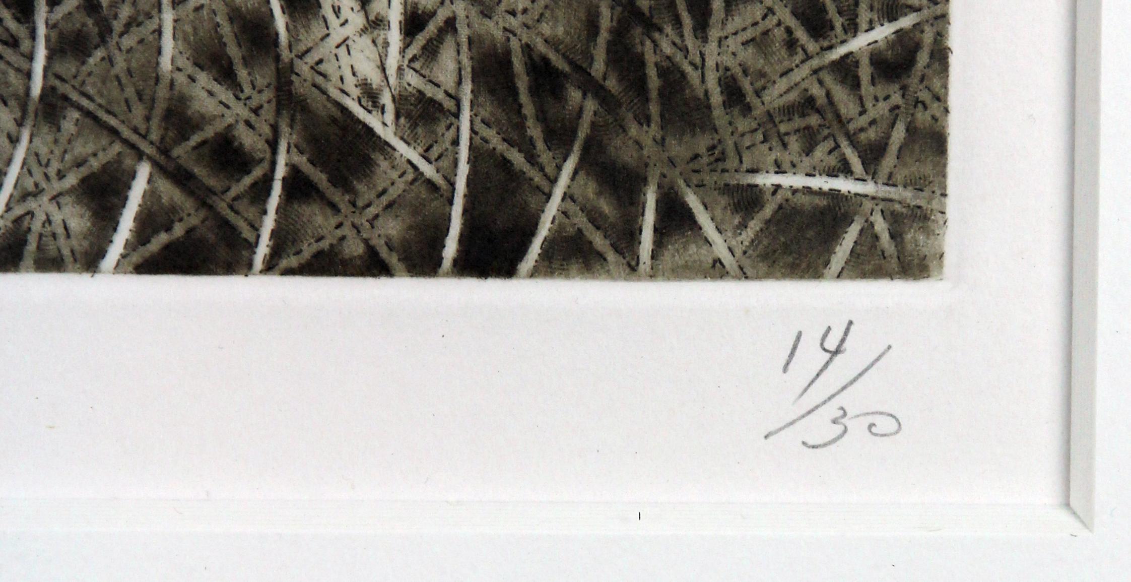 El Pez (14/30) - Gray Animal Print by Francisco Toledo
