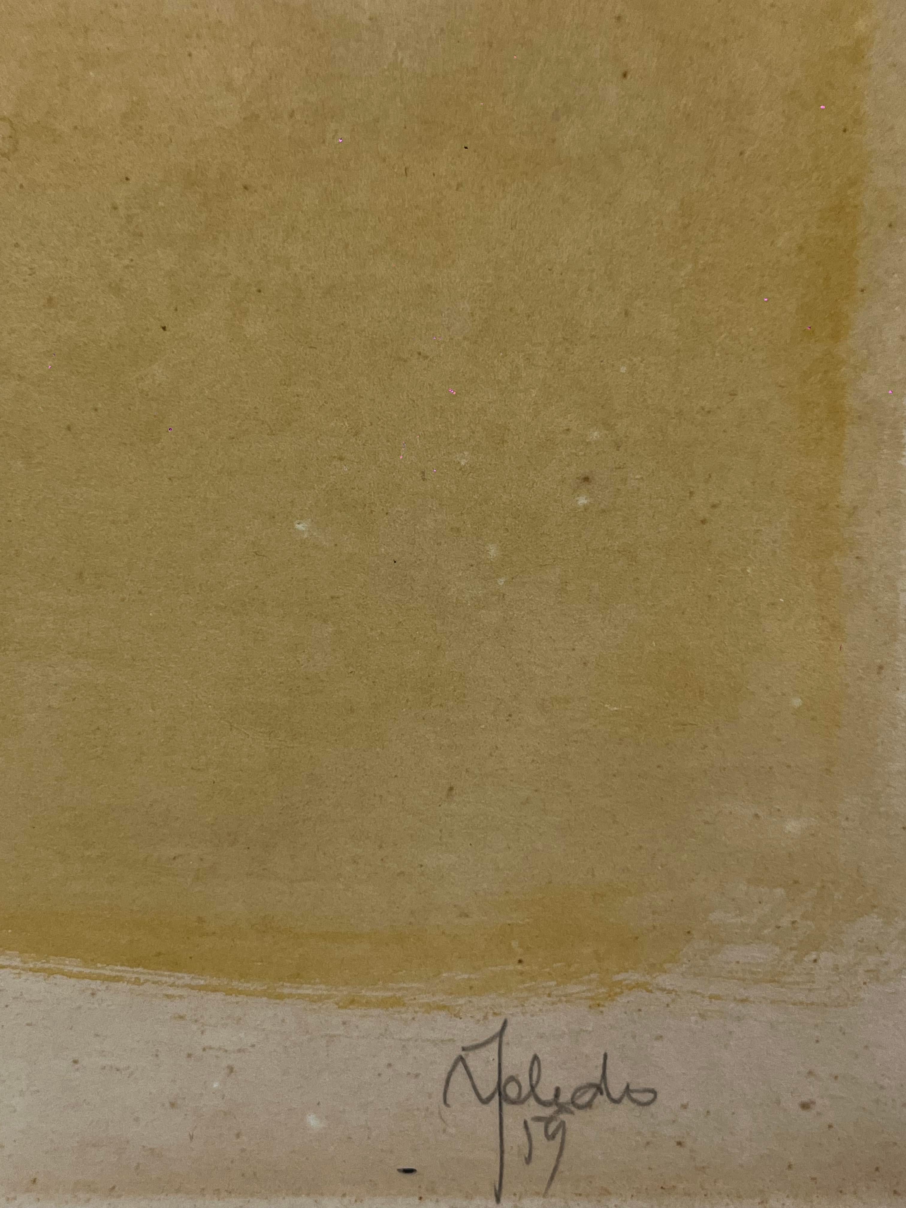 Francisco Toledo Acquerello su carta Pittura di uccelli In condizioni buone in vendita a Mexico City, MX
