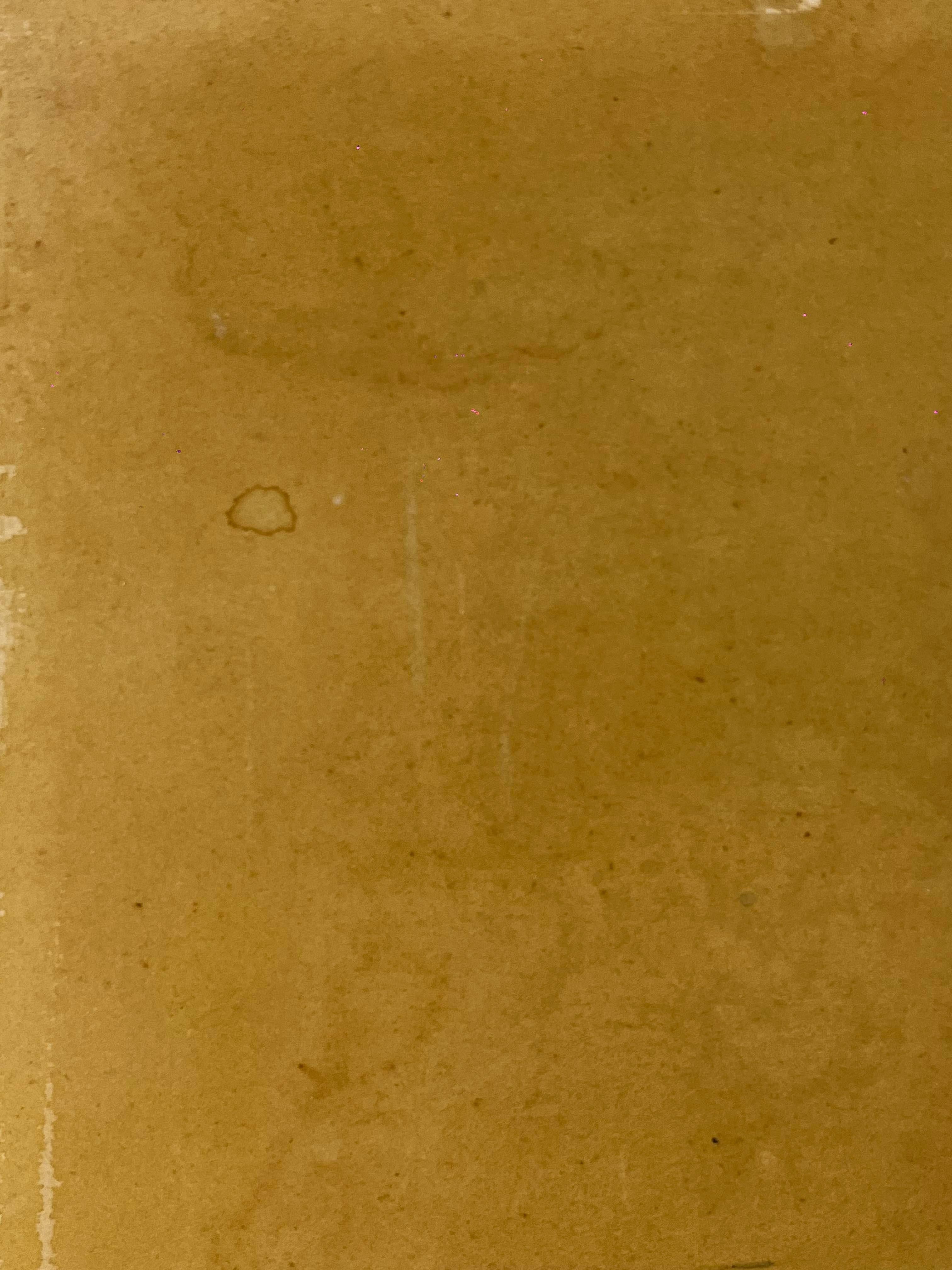 Metà XX secolo Francisco Toledo Acquerello su carta Pittura di uccelli in vendita