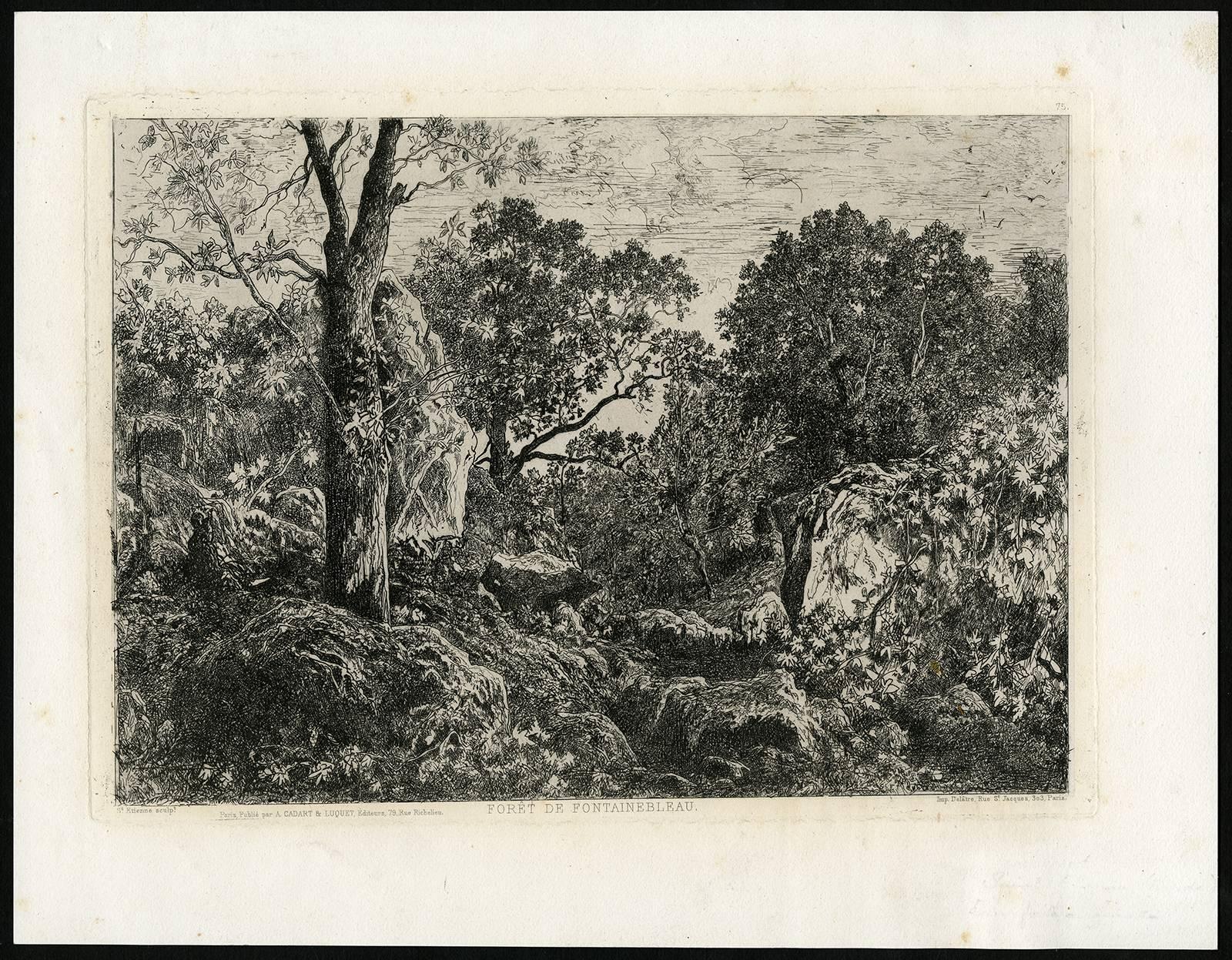 Francisque Bessodes de Saint-Etienne Landscape Print - Foret de Fontainebleau.