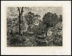 Foret de Fontainebleau.